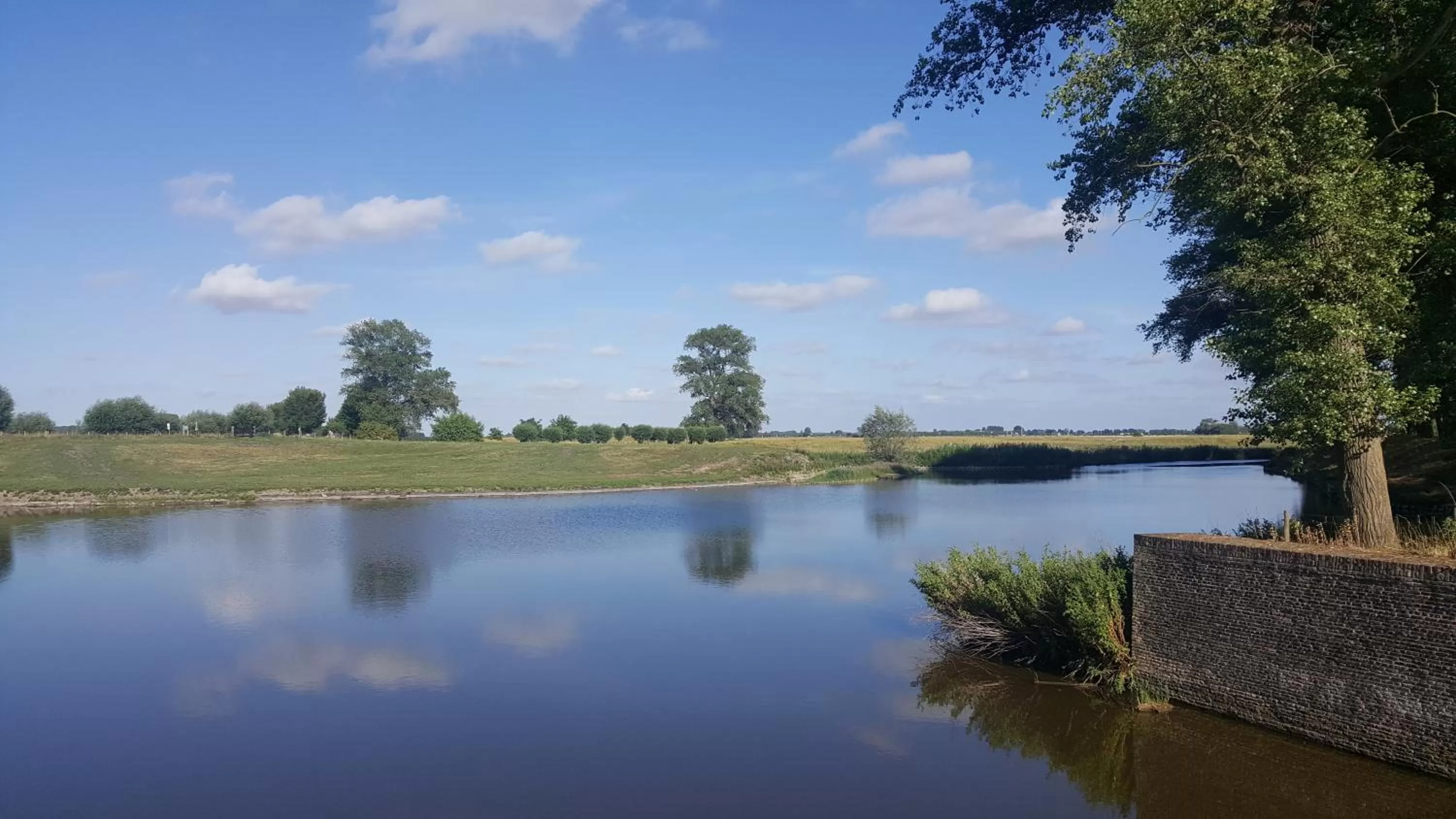 Natural landscape in Hotel Le Provencal