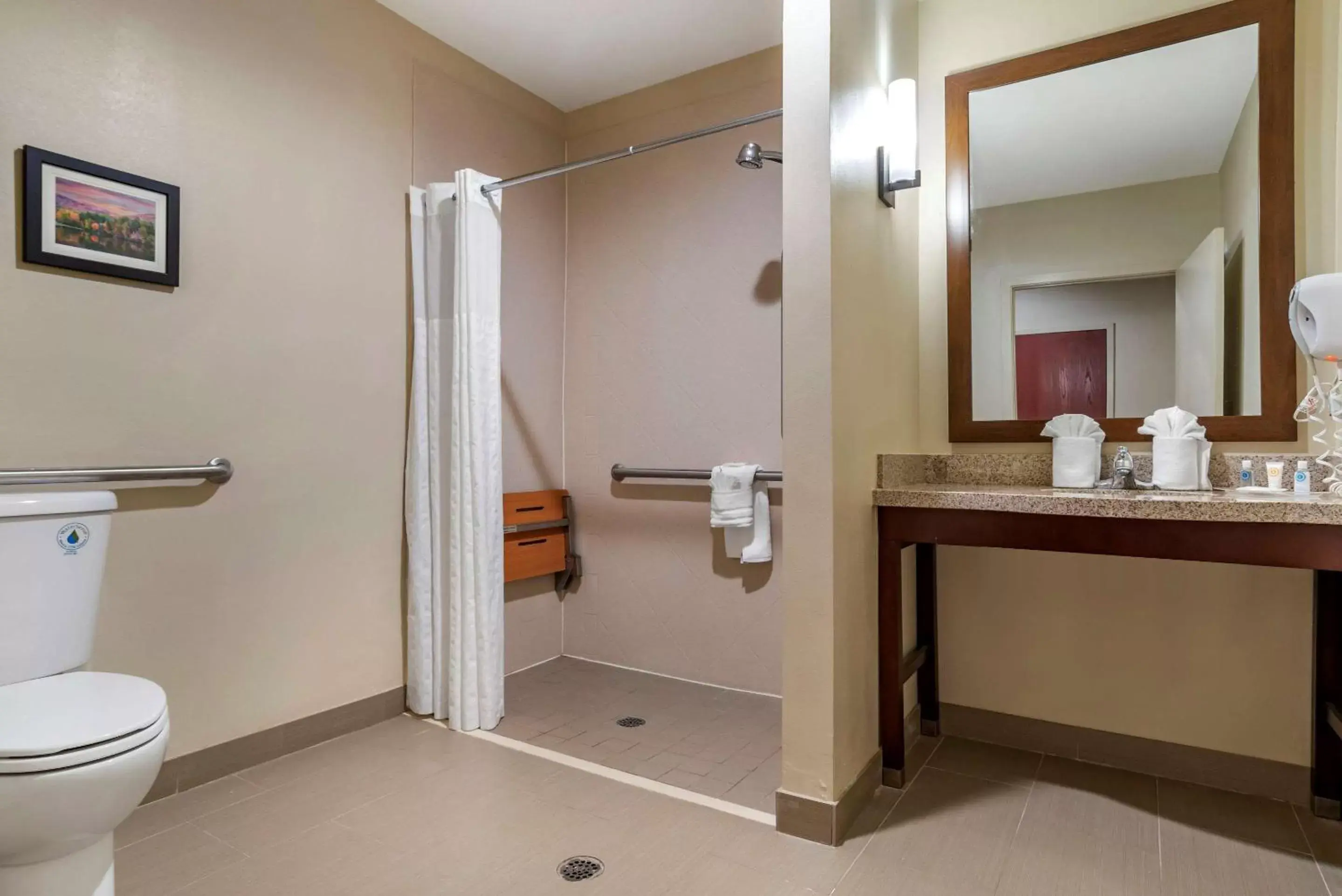 Bathroom in Comfort Suites Pell City I-20 exit 158