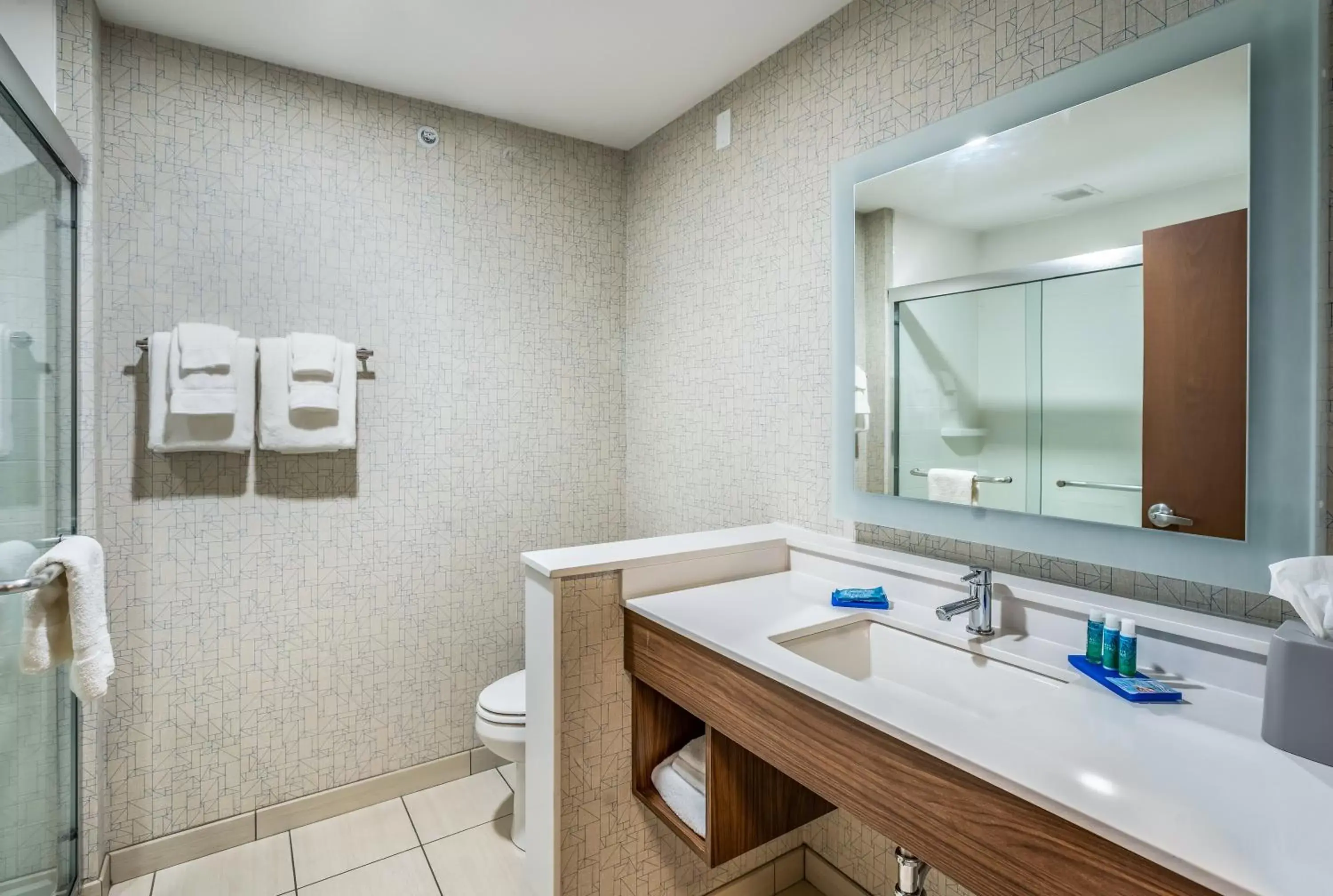 Photo of the whole room, Bathroom in Holiday Inn Express & Suites Platteville, an IHG Hotel