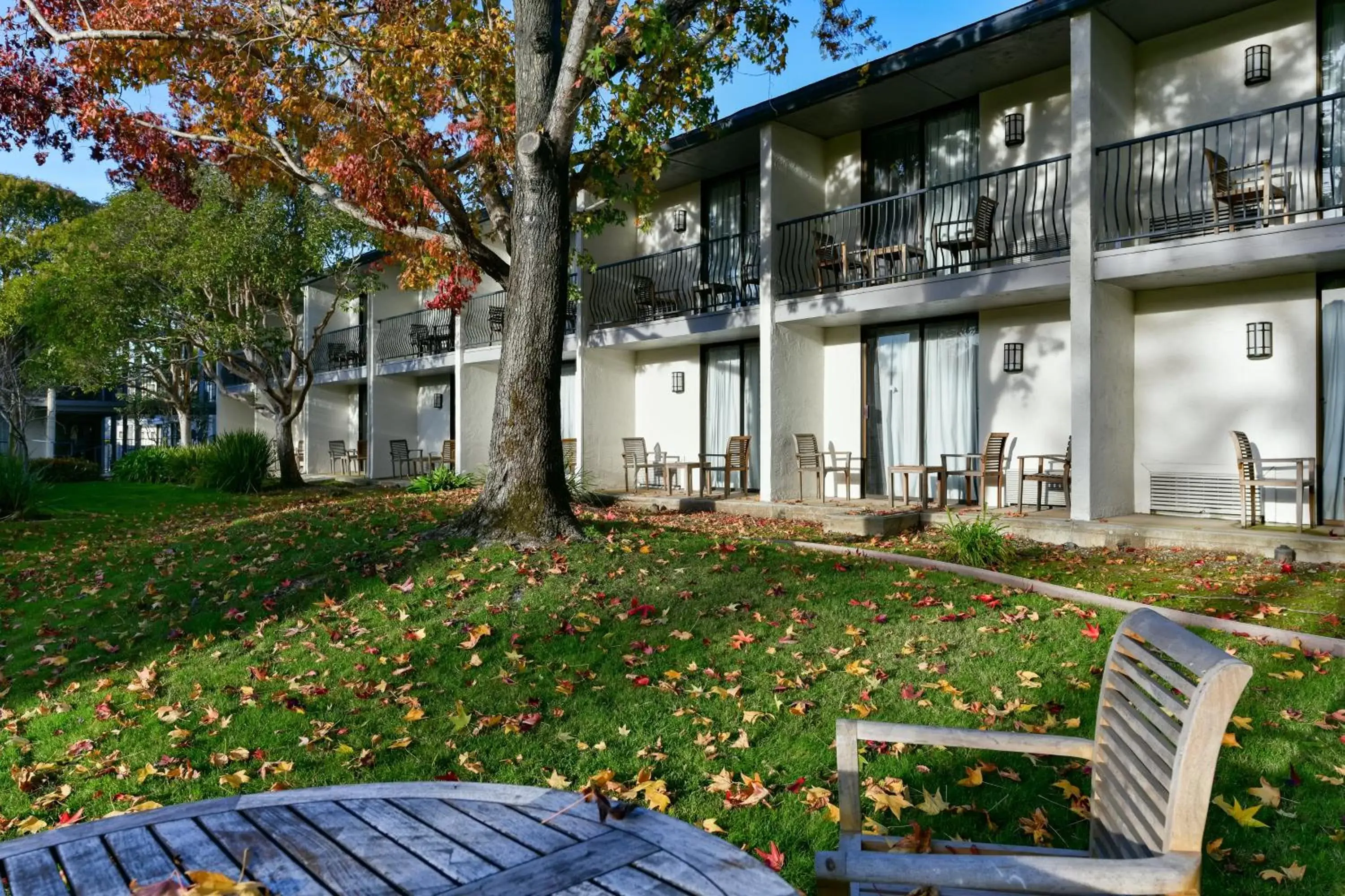 Lobby or reception, Property Building in Holiday Inn Express Mill Valley - Sausalito Area, an IHG Hotel