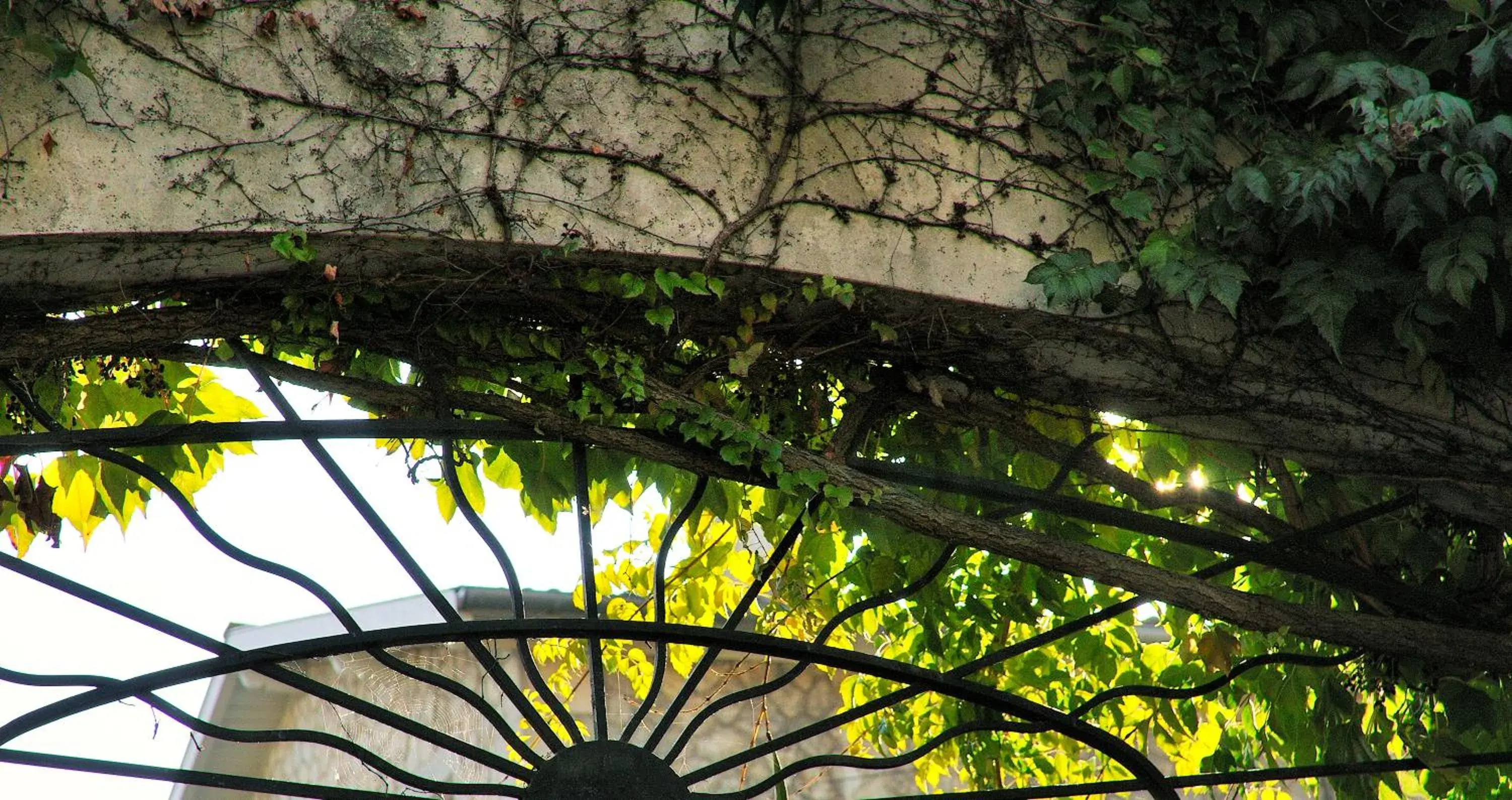 Facade/entrance in Hôtel de L'Avenue