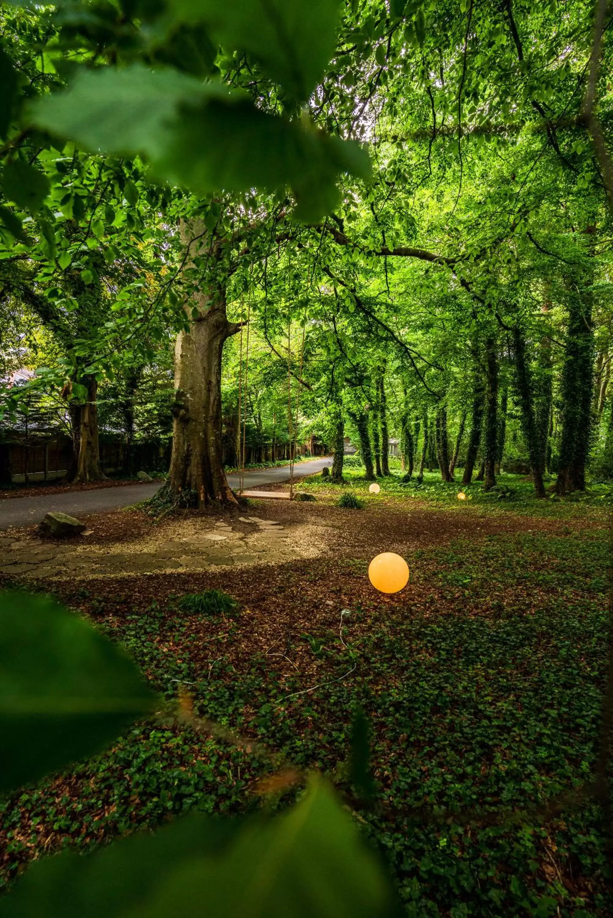 Natural landscape in Summerhill House Hotel