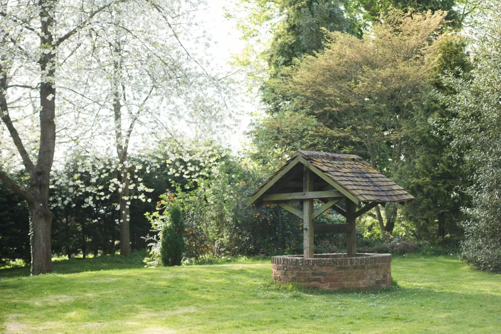 Garden in Horwood House Hotel