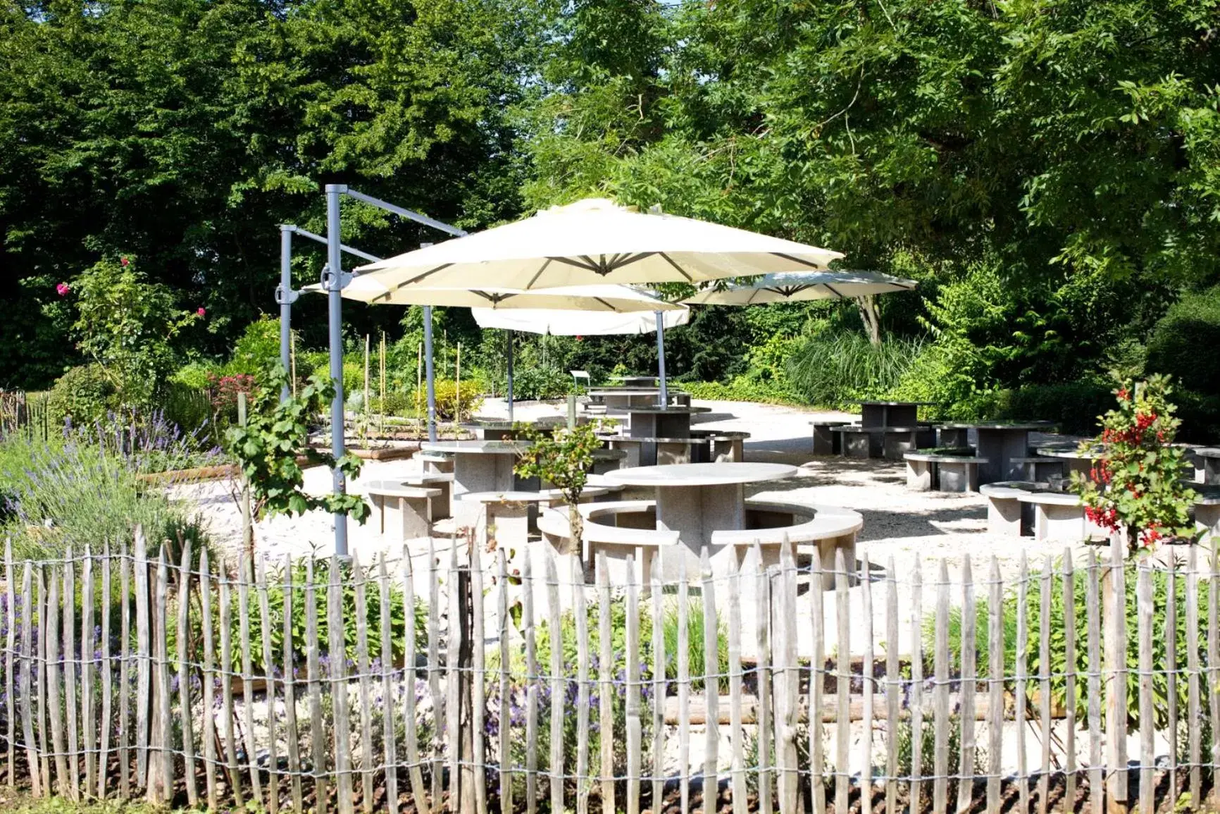 Garden in Hotel Coop Tagungszentrum & Hotelpark im Grünen