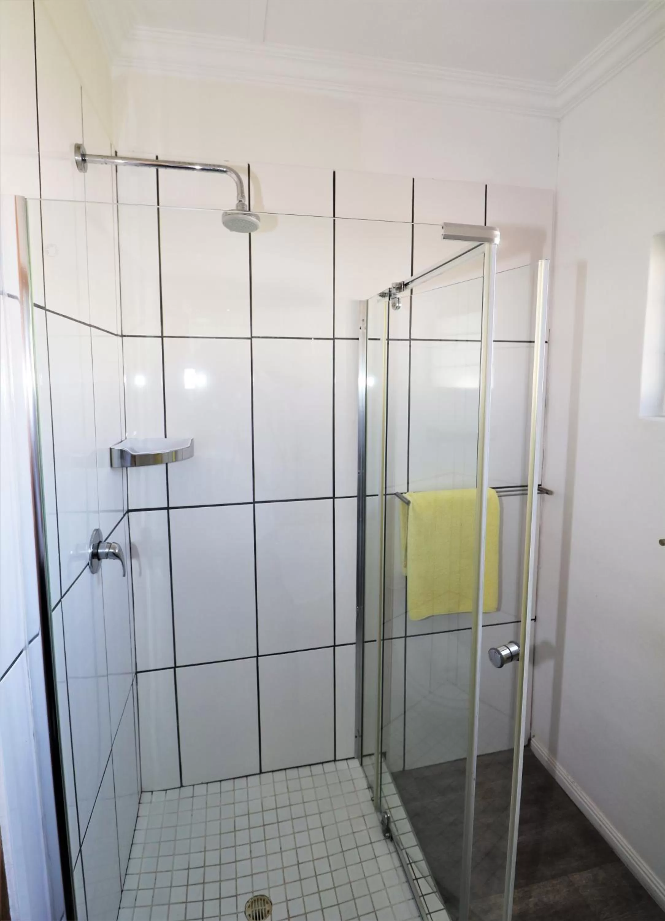 Shower, Bathroom in Tiende Laan Bed & Breakfast and Self-Catering