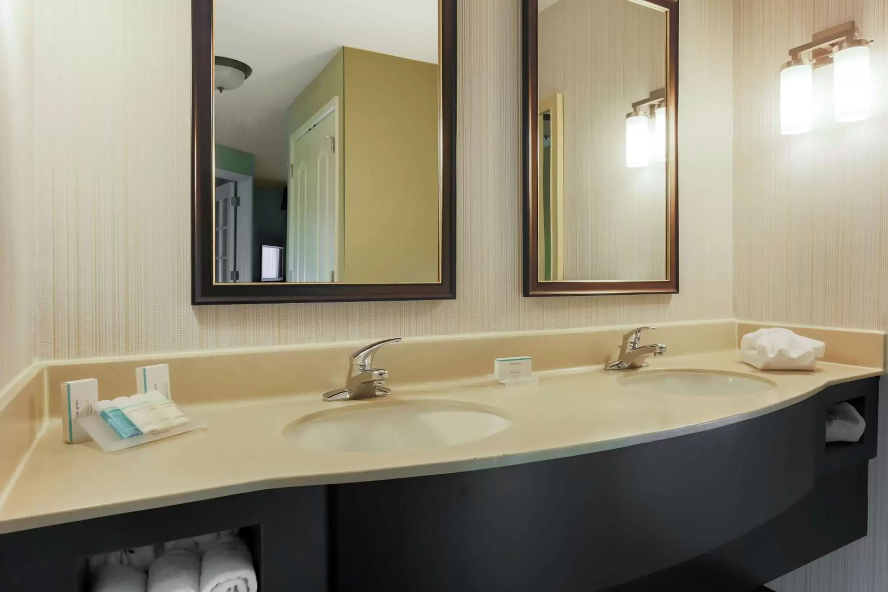 Bathroom in Hilton Garden Inn Tallahassee