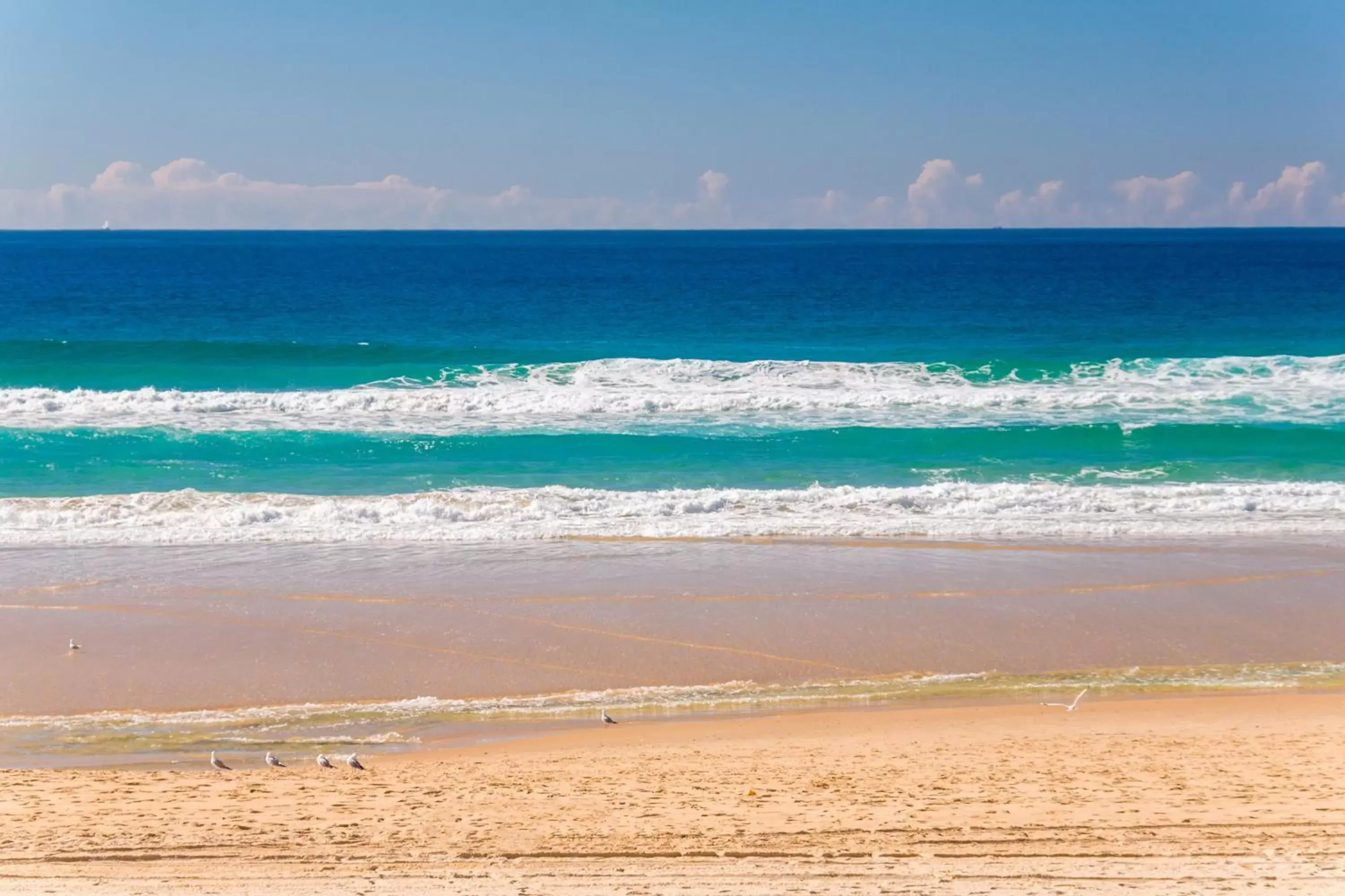 Natural landscape, Beach in Aegean Resort Apartments