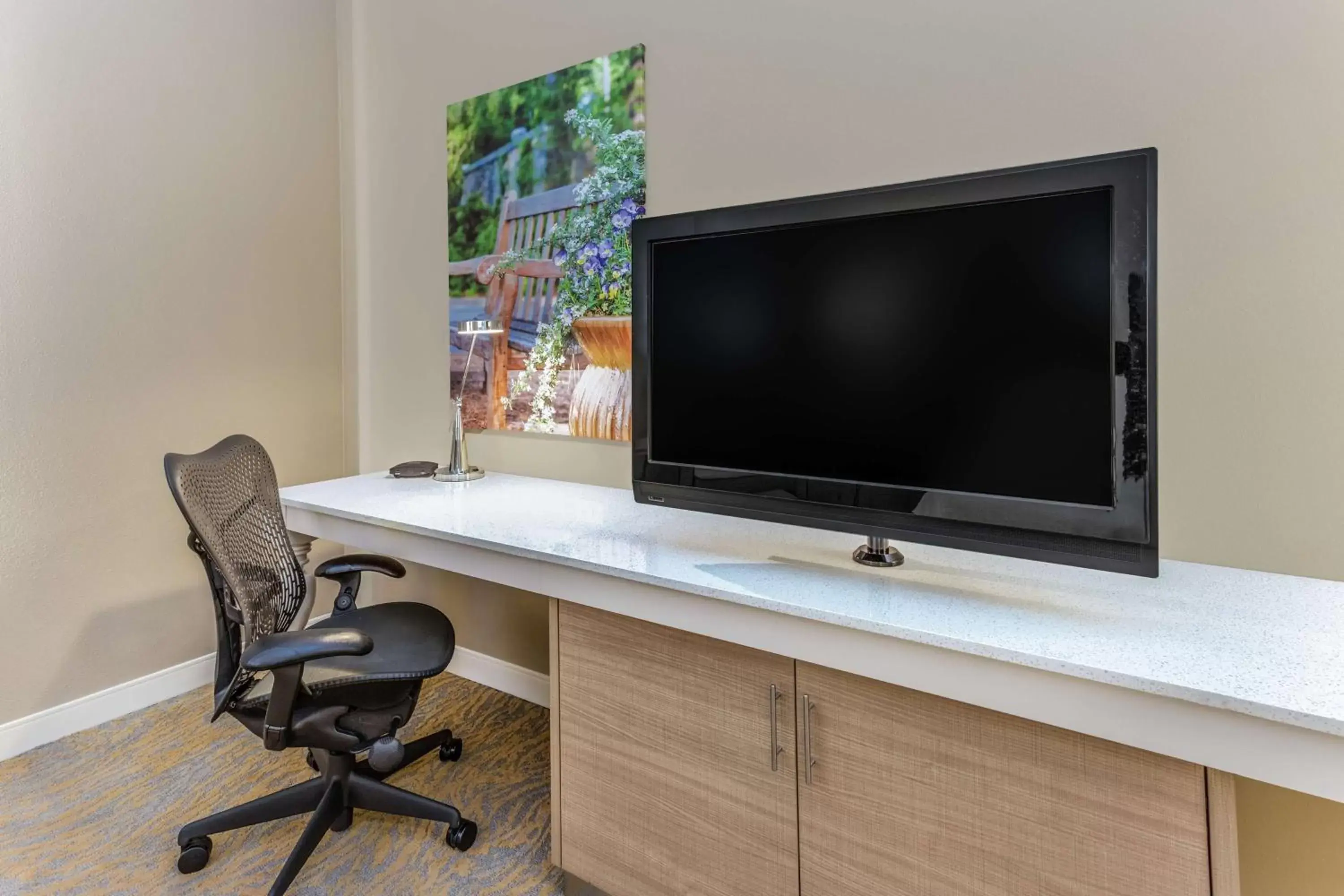 Bedroom, TV/Entertainment Center in Hilton Garden Inn Saint Charles