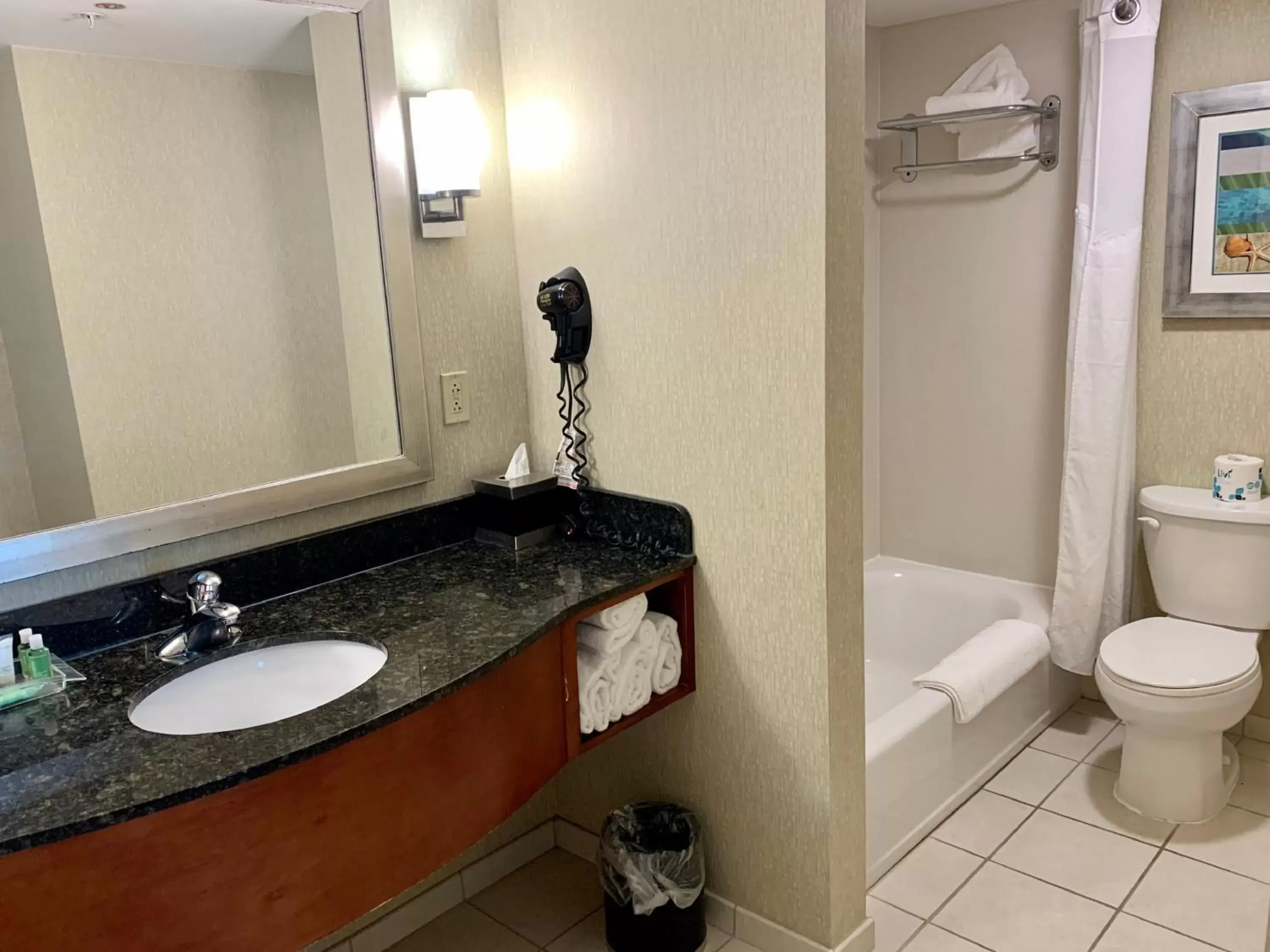 Toilet, Bathroom in Holiday Inn & Suites Virginia Beach - North Beach, an IHG Hotel