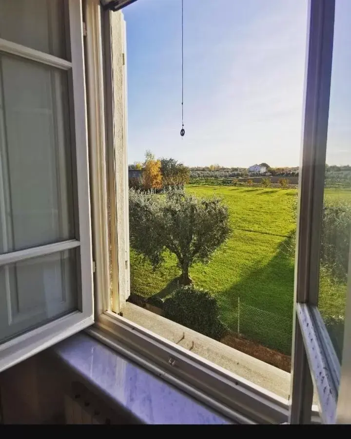 Garden View in Villa Marinsky Pietrasanta