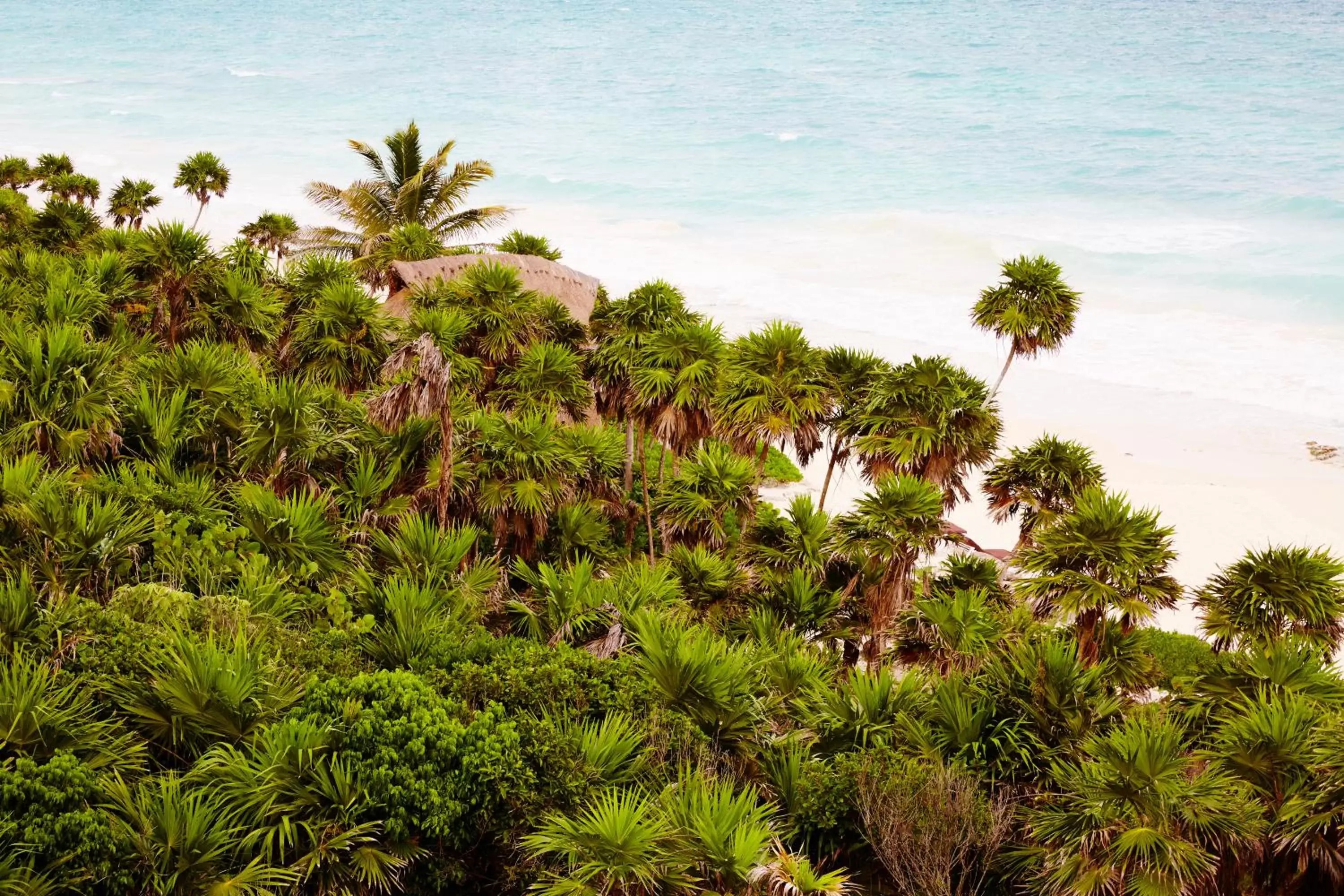 Area and facilities, Bird's-eye View in Papaya Playa Project