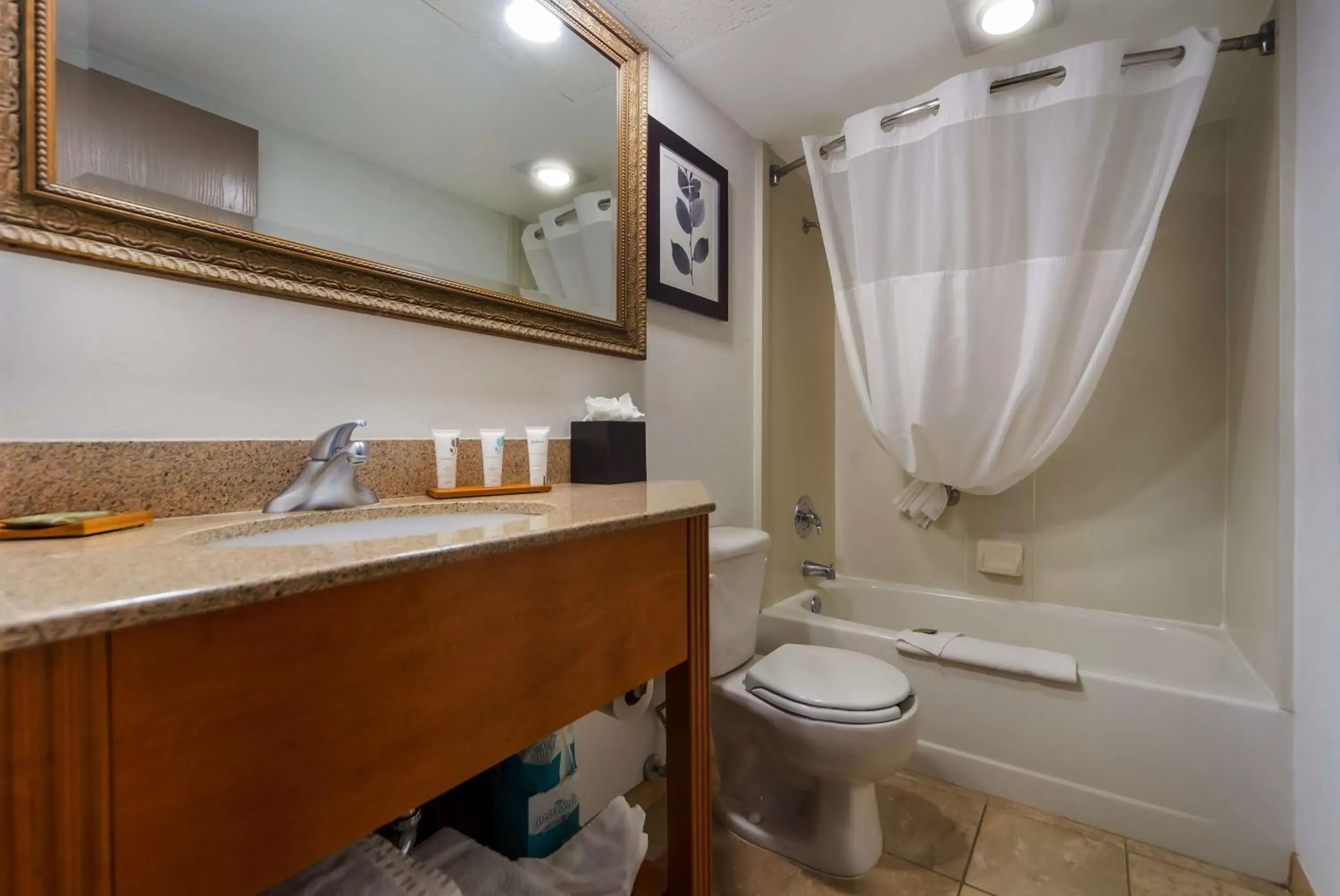 Bathroom in Country Inn & Suites by Radisson, Lincoln Airport, NE