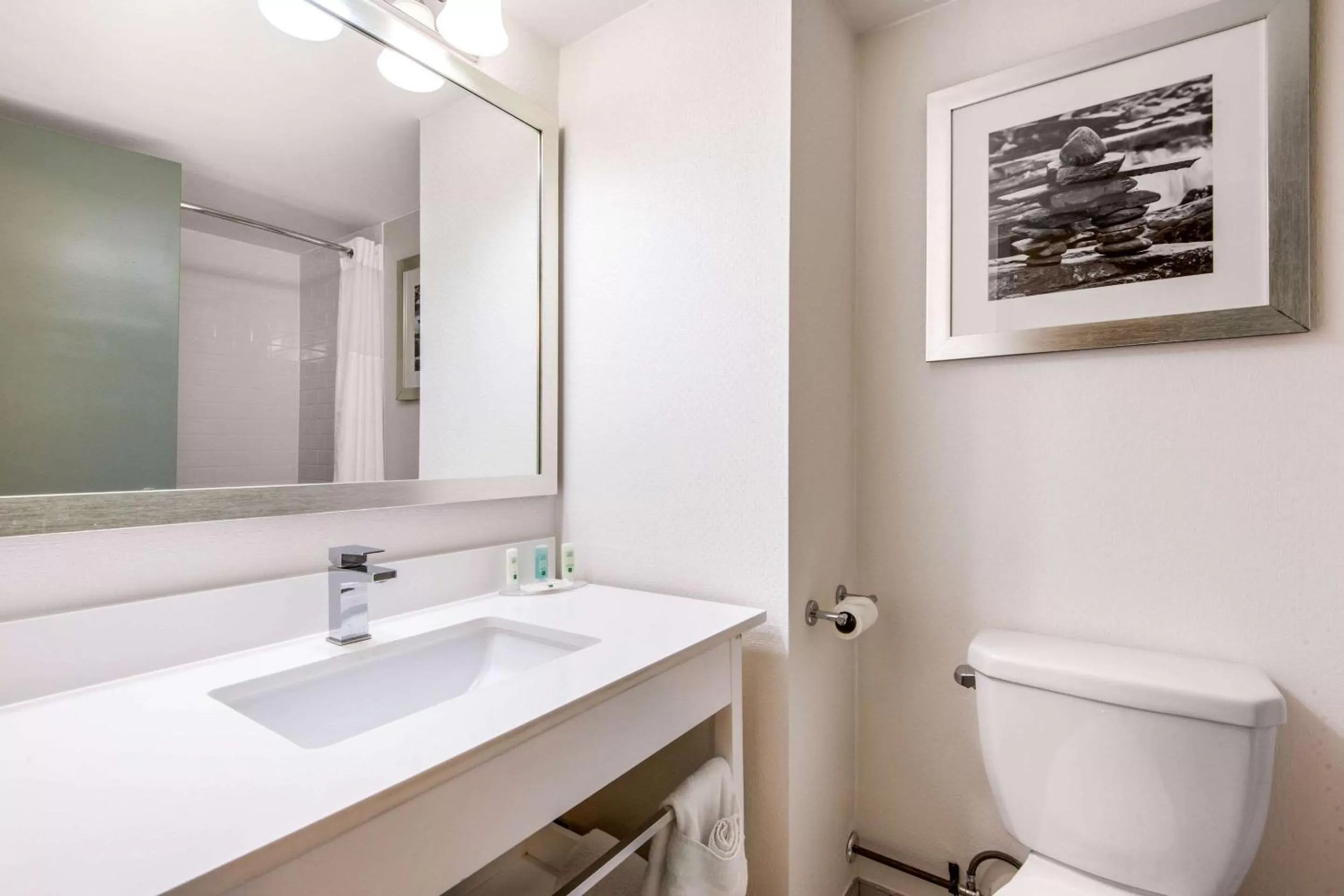 Toilet in Quality Inn & Conference Centre