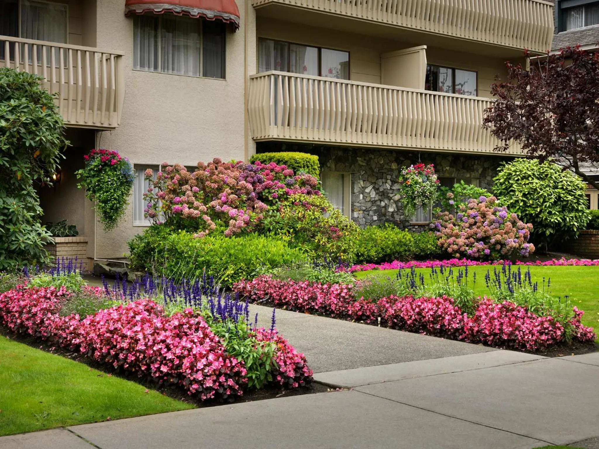 Garden, Property Building in Royal Scot Suite Hotel