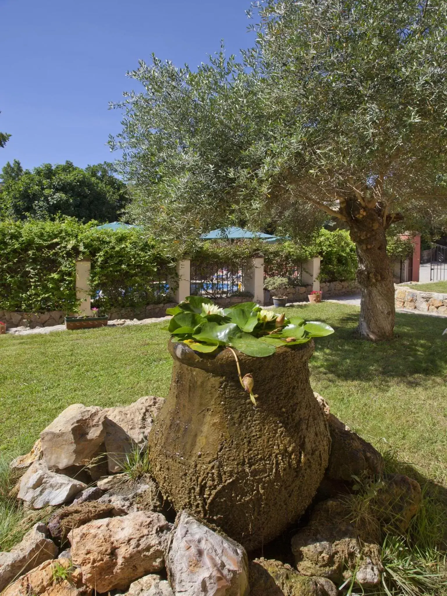 Day, Garden in Hotel Rural Molino del Puente Ronda