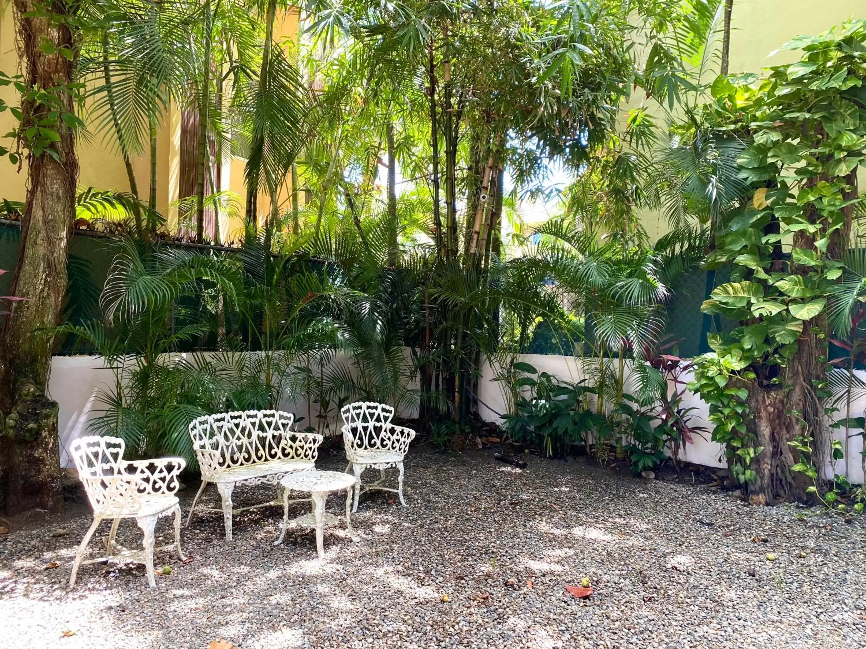 Patio in Hotel Alegria