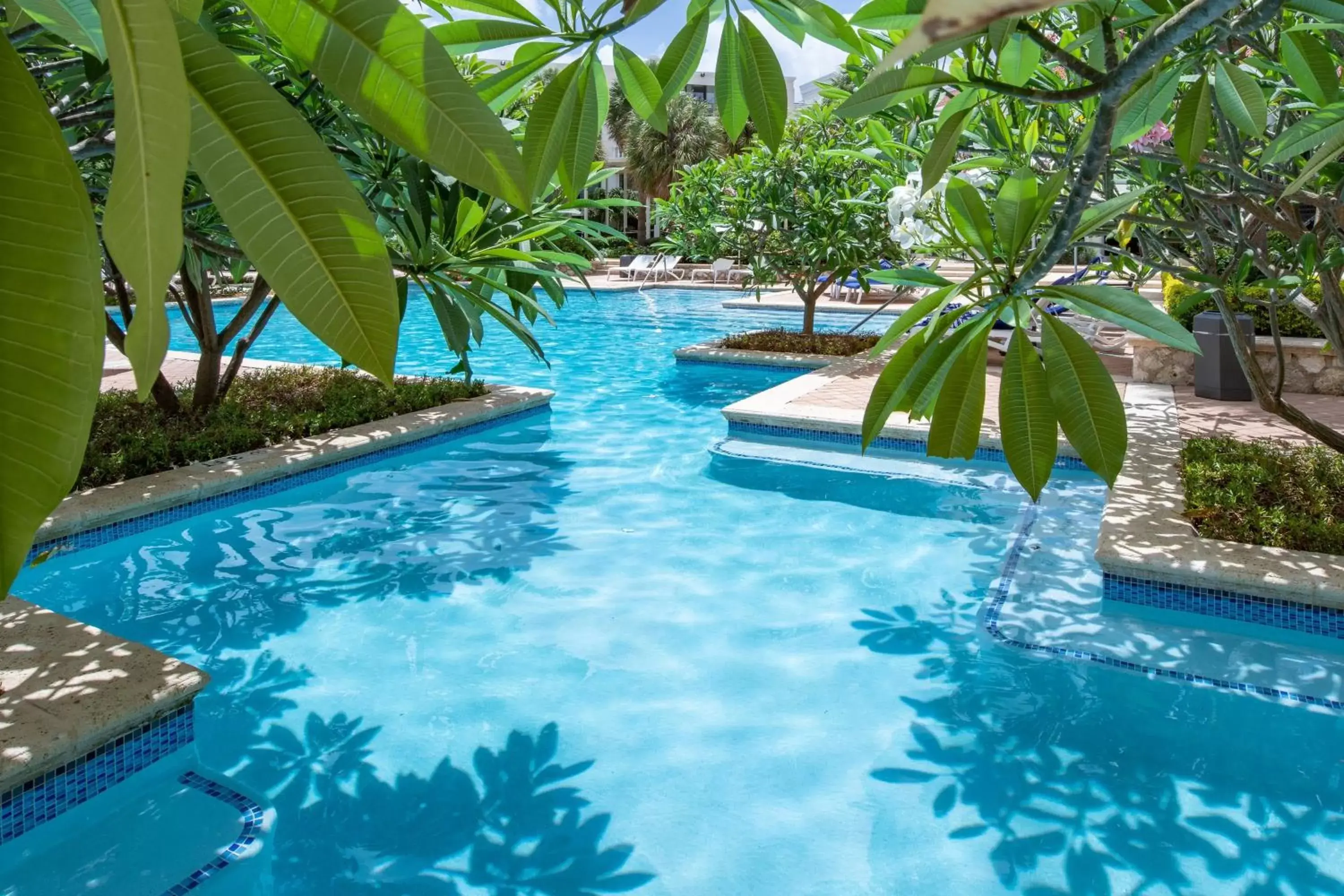 Swimming Pool in Curaçao Marriott Beach Resort