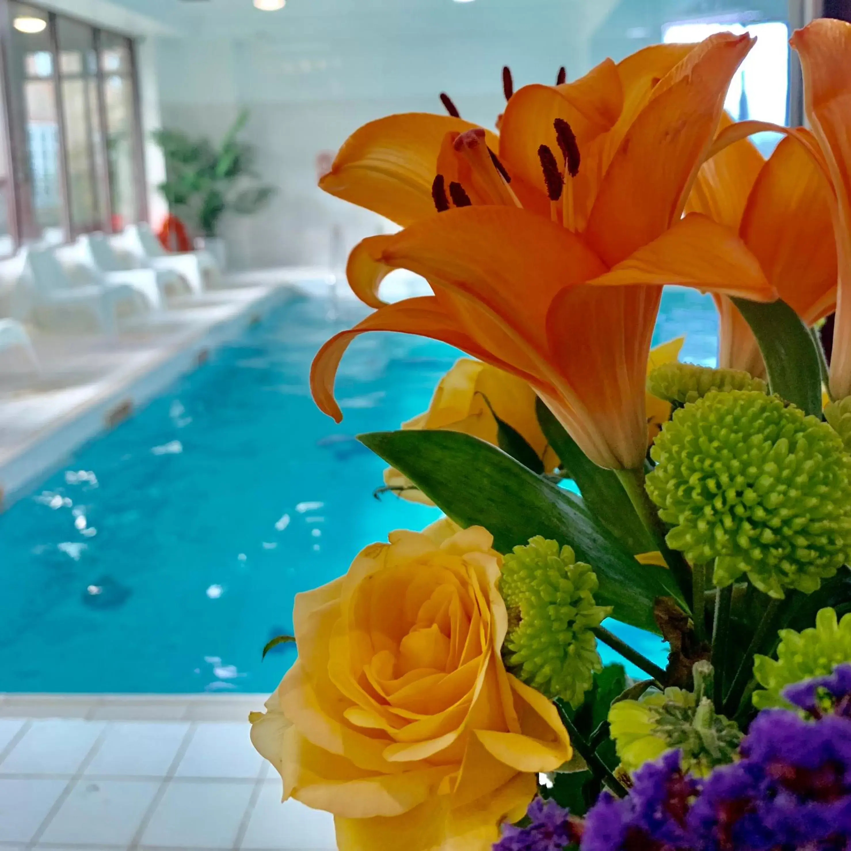 Pool view, Swimming Pool in Bosworth Hall Hotel & Spa