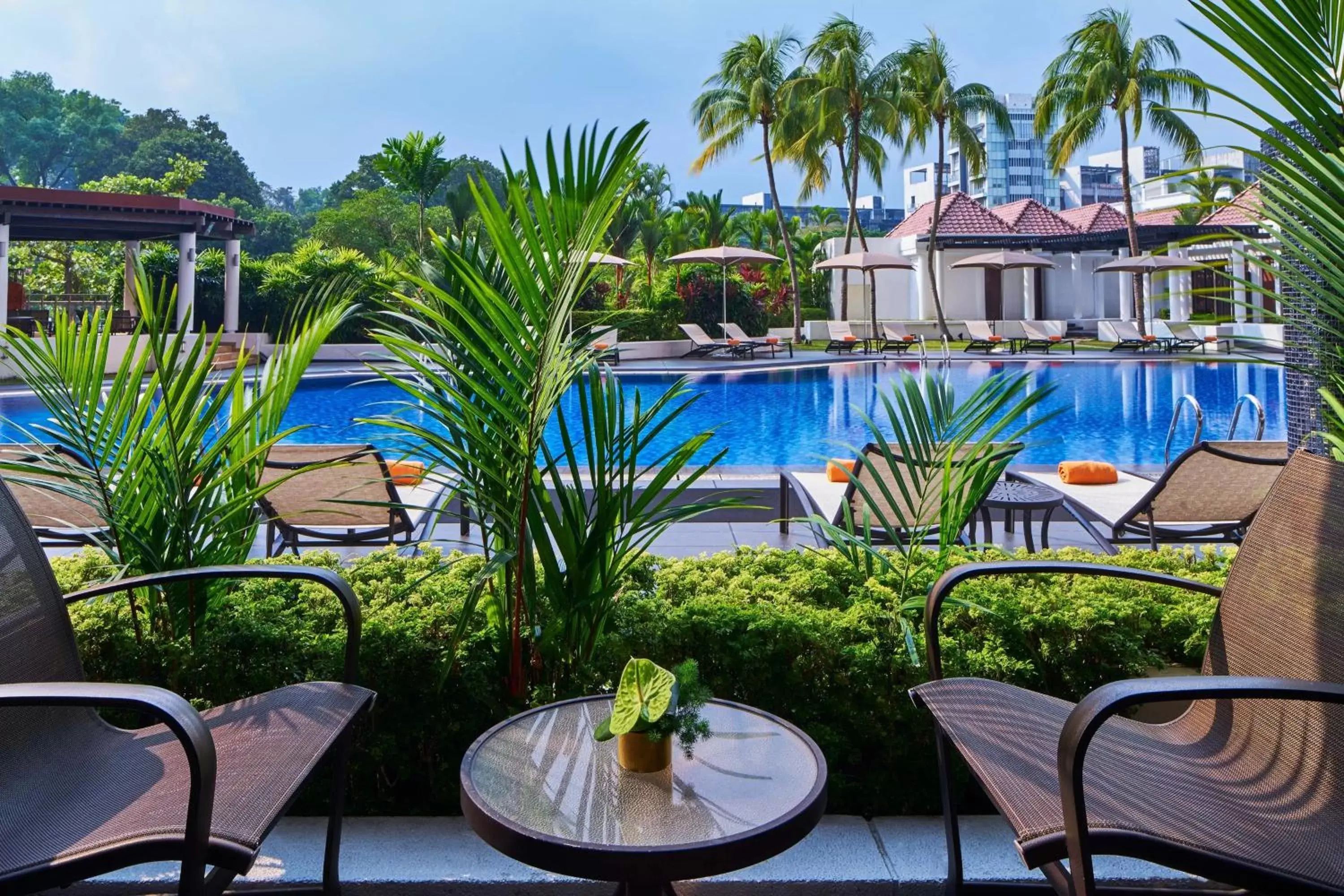 Swimming Pool in Sheraton Towers Singapore Hotel