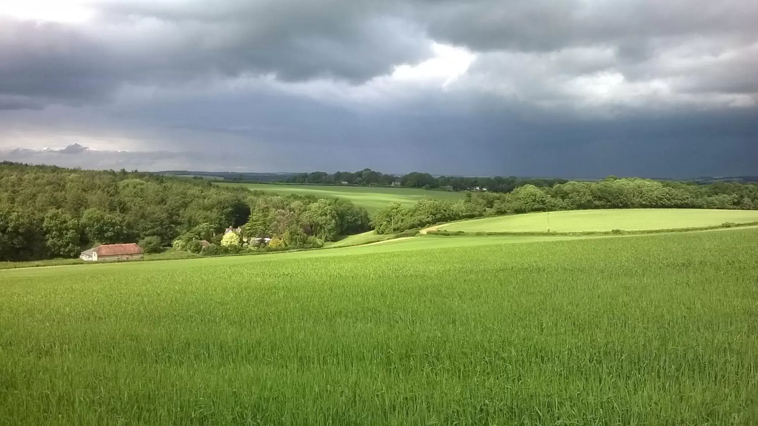 View (from property/room) in Lower Bryanston Farm View (from property/room) in Lower Bryanston Farm