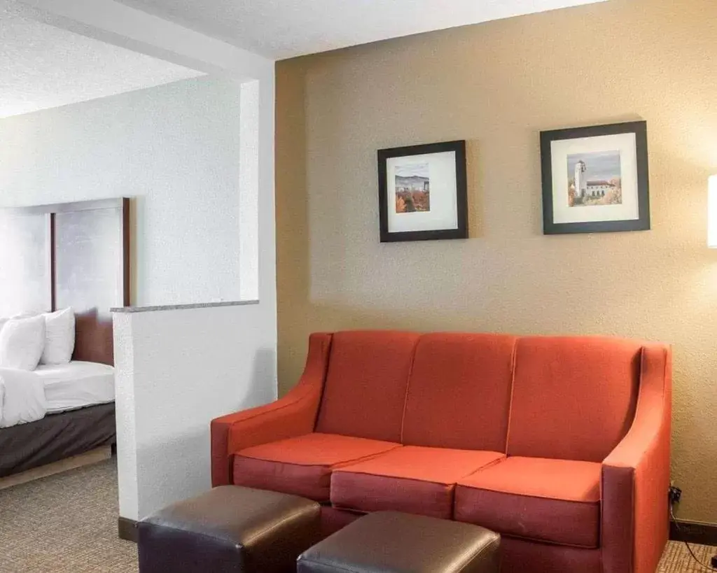 King Suite with Roll-In Shower - Accessible/Non-Smoking in Comfort Suites Boise Airport