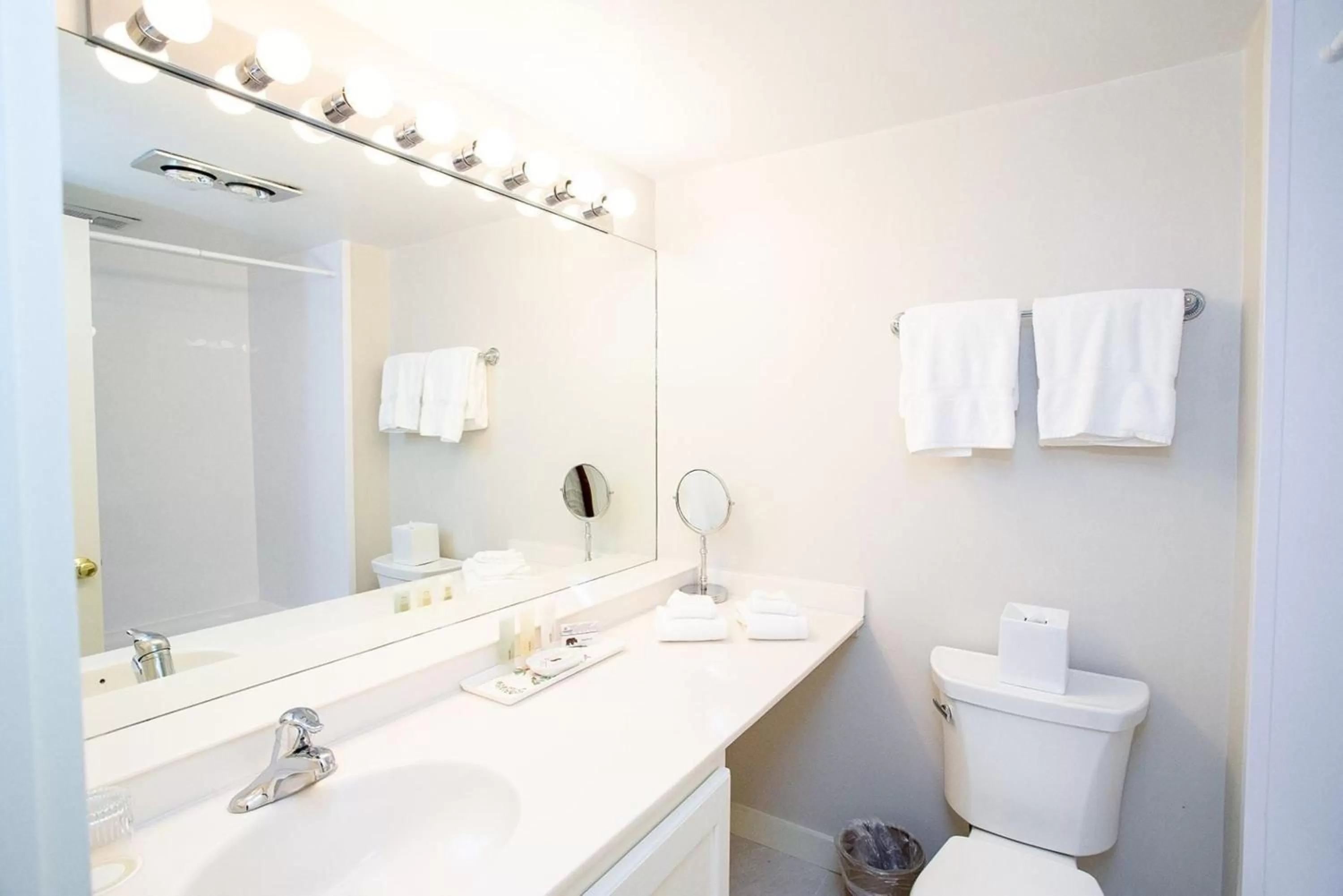 Bathroom in Topnotch Resort