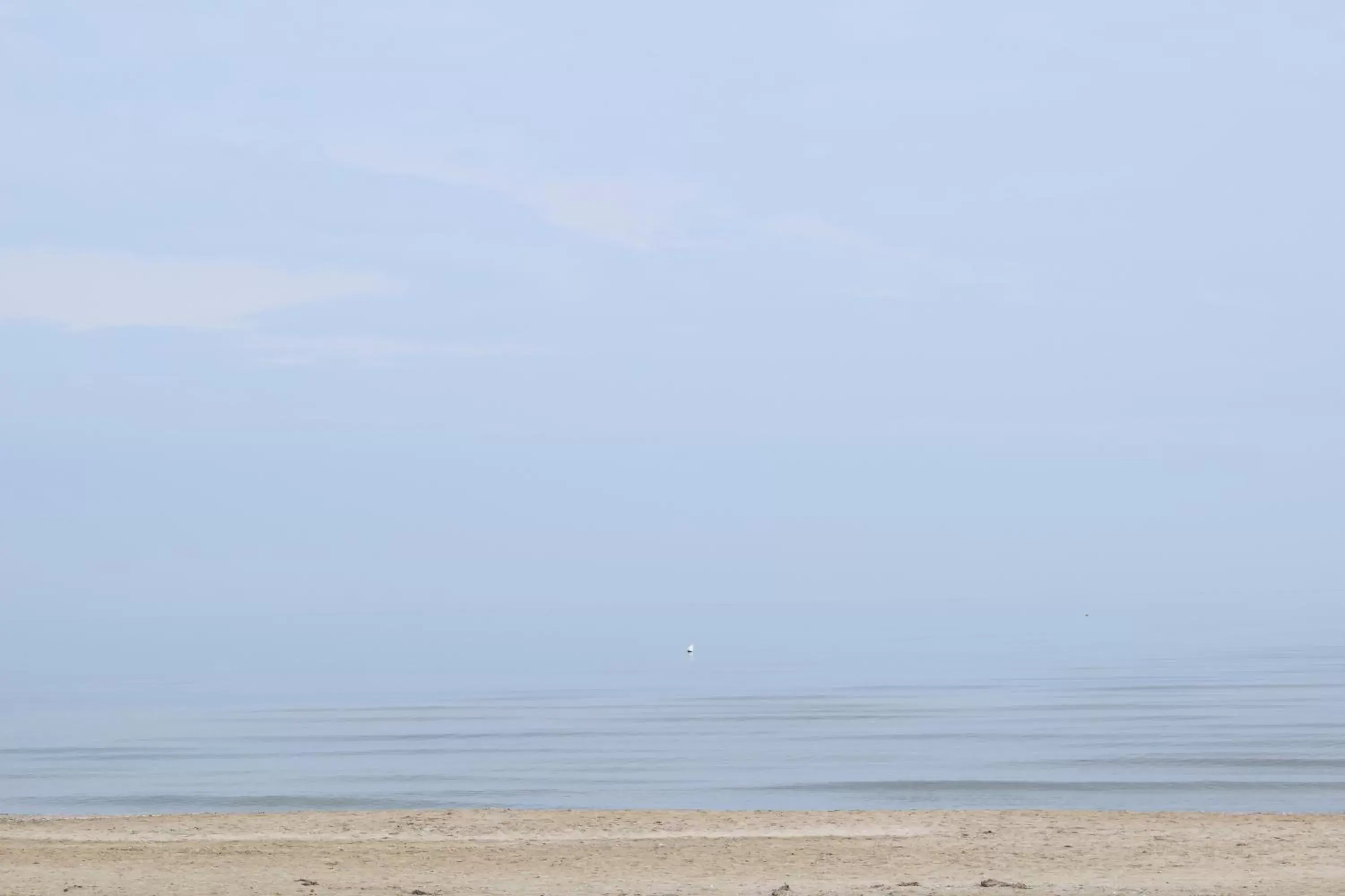 Beach in HOTEL ABAY