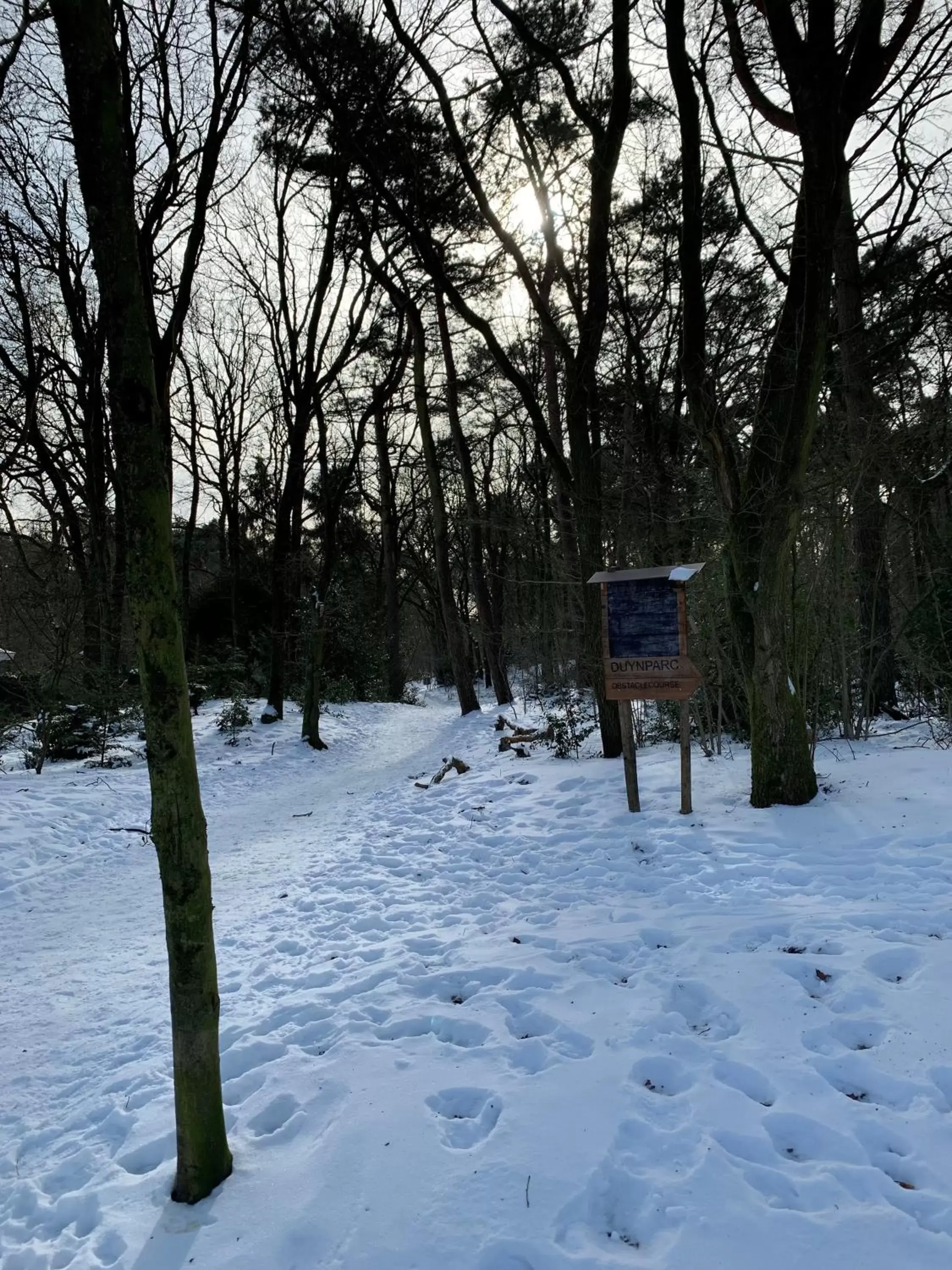 Natural landscape, Winter in Duynparc Soest