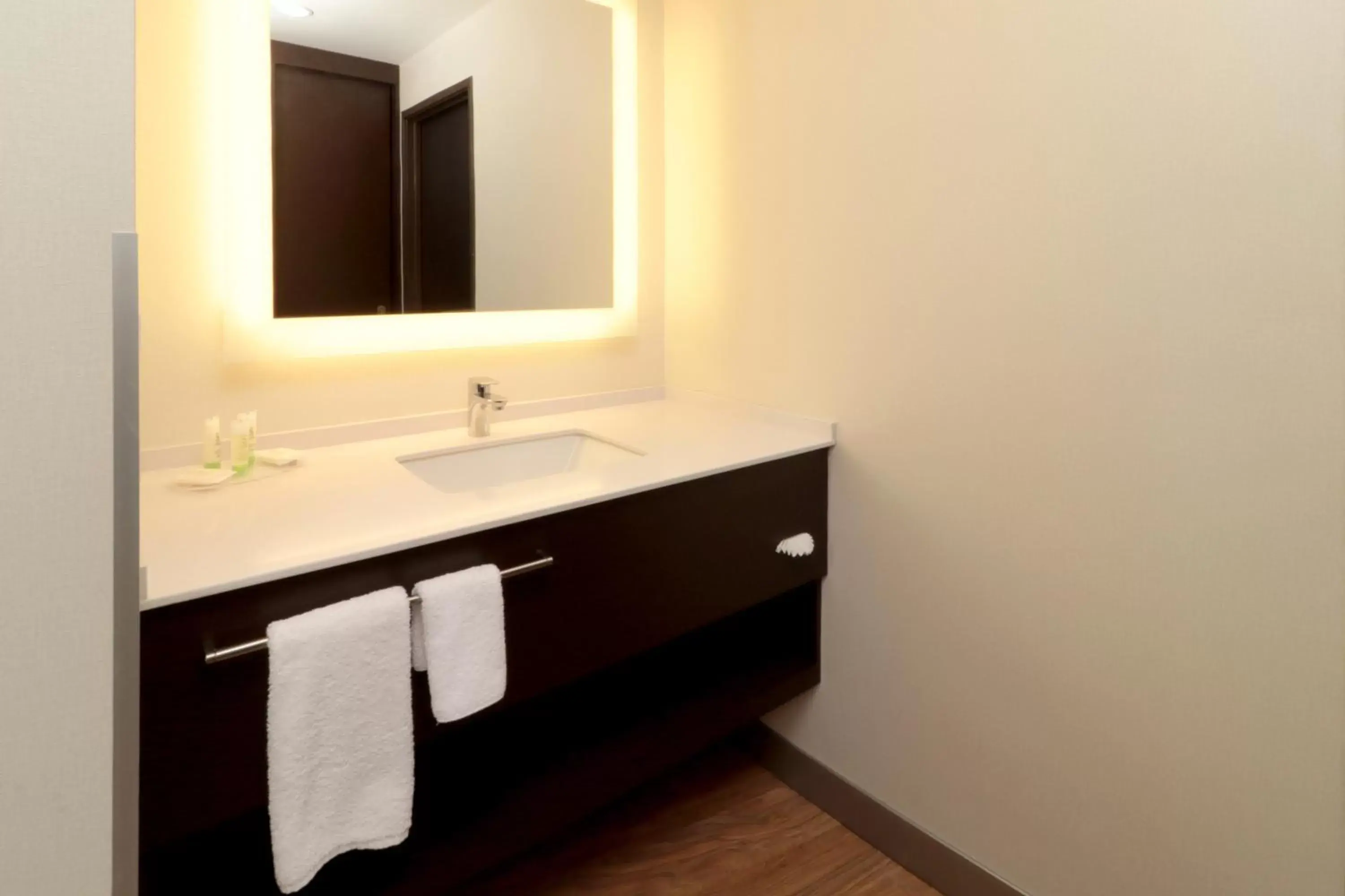 Bathroom in Staybridge Suites San Luis Potosi, an IHG Hotel