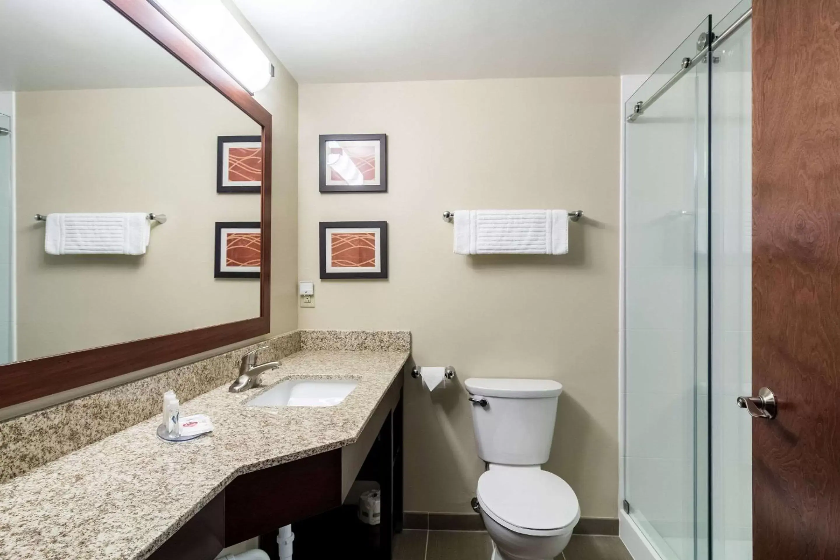 Bathroom in Comfort Inn Edwardsville - St. Louis