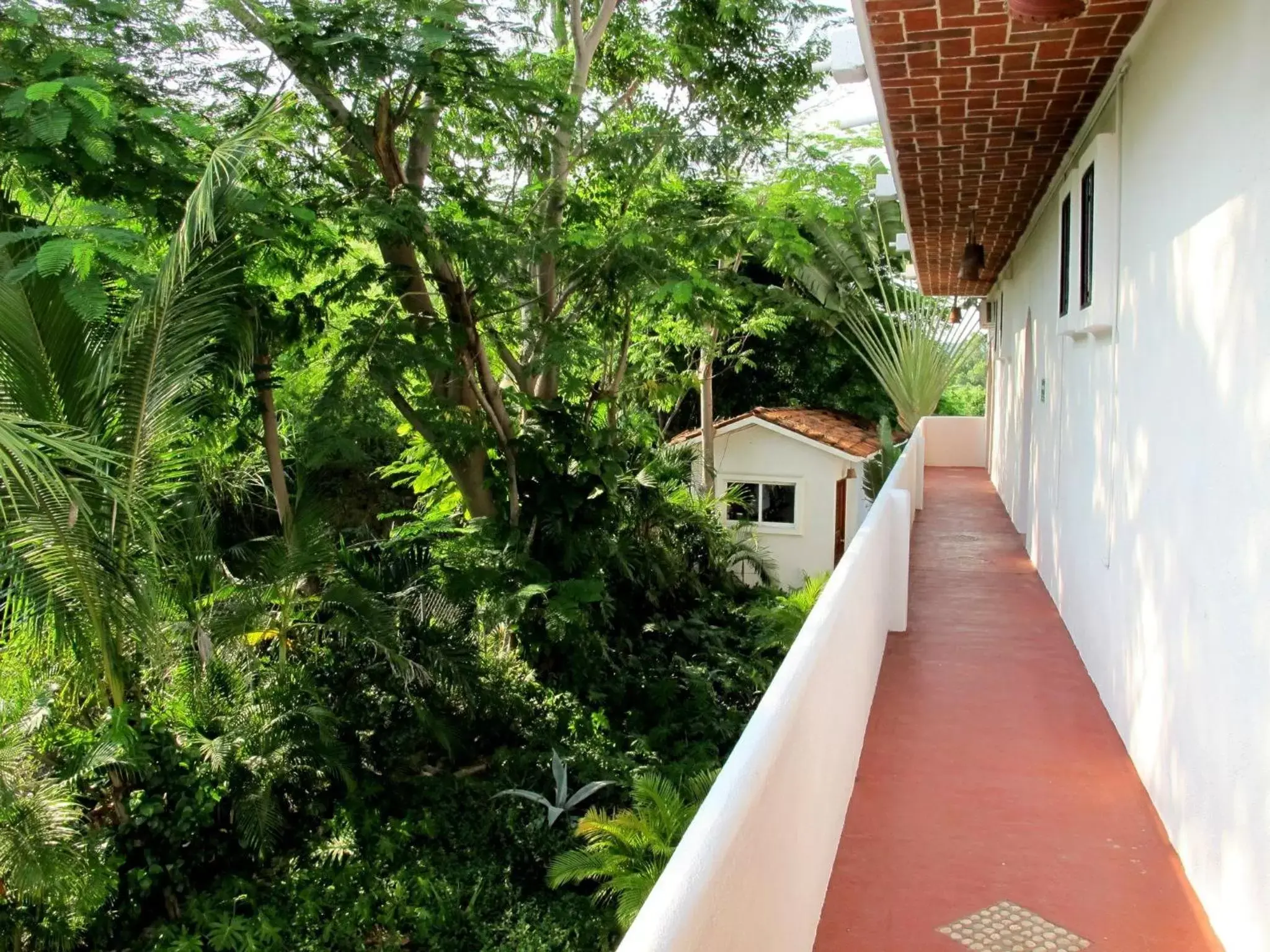 Natural landscape, Balcony/Terrace in Villas El Morro