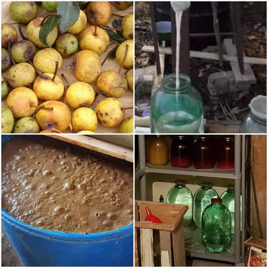 Ruzanna's Bed & Breakfast