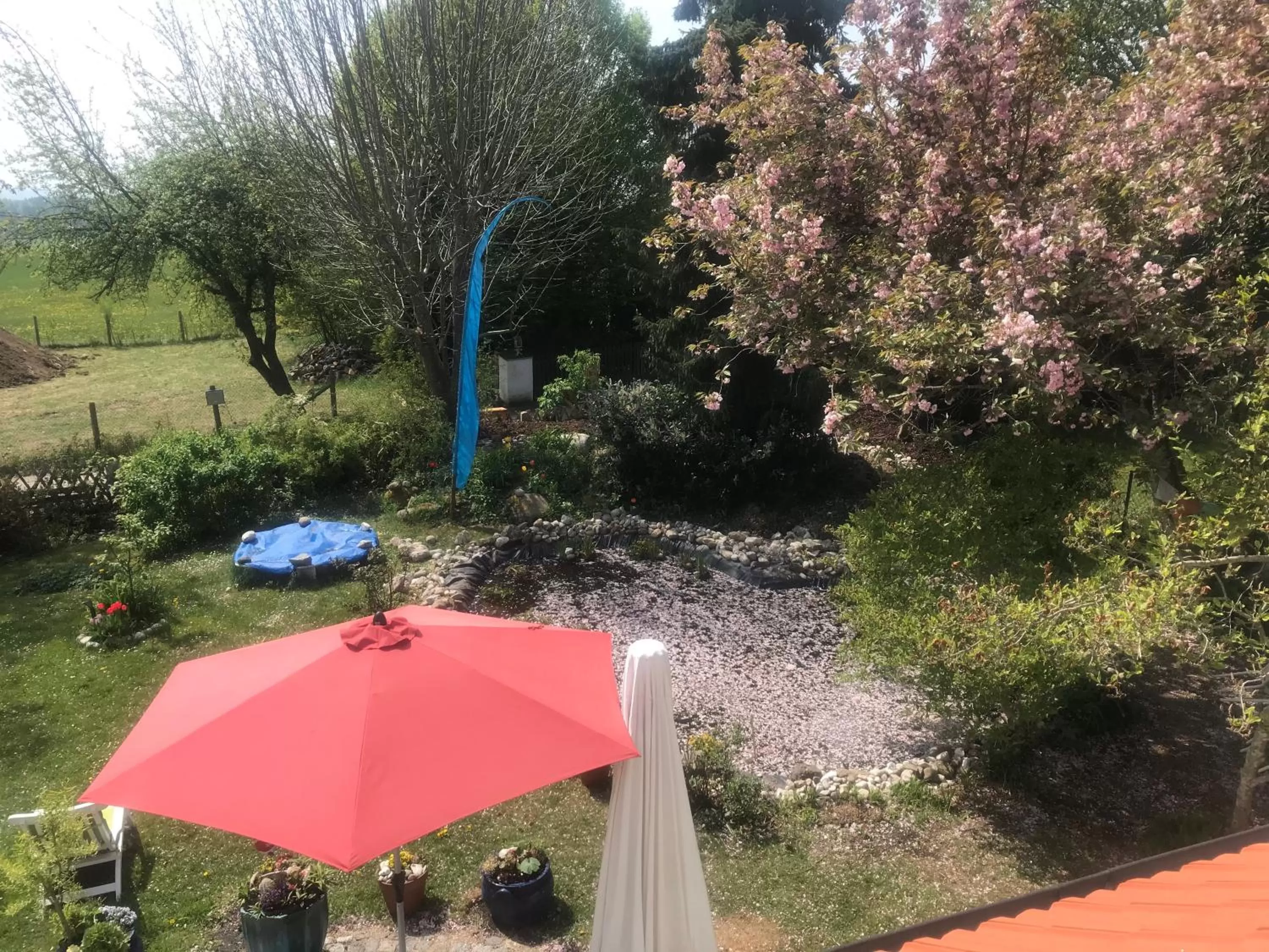 Garden view in Bed and Breakfast Bavaria München