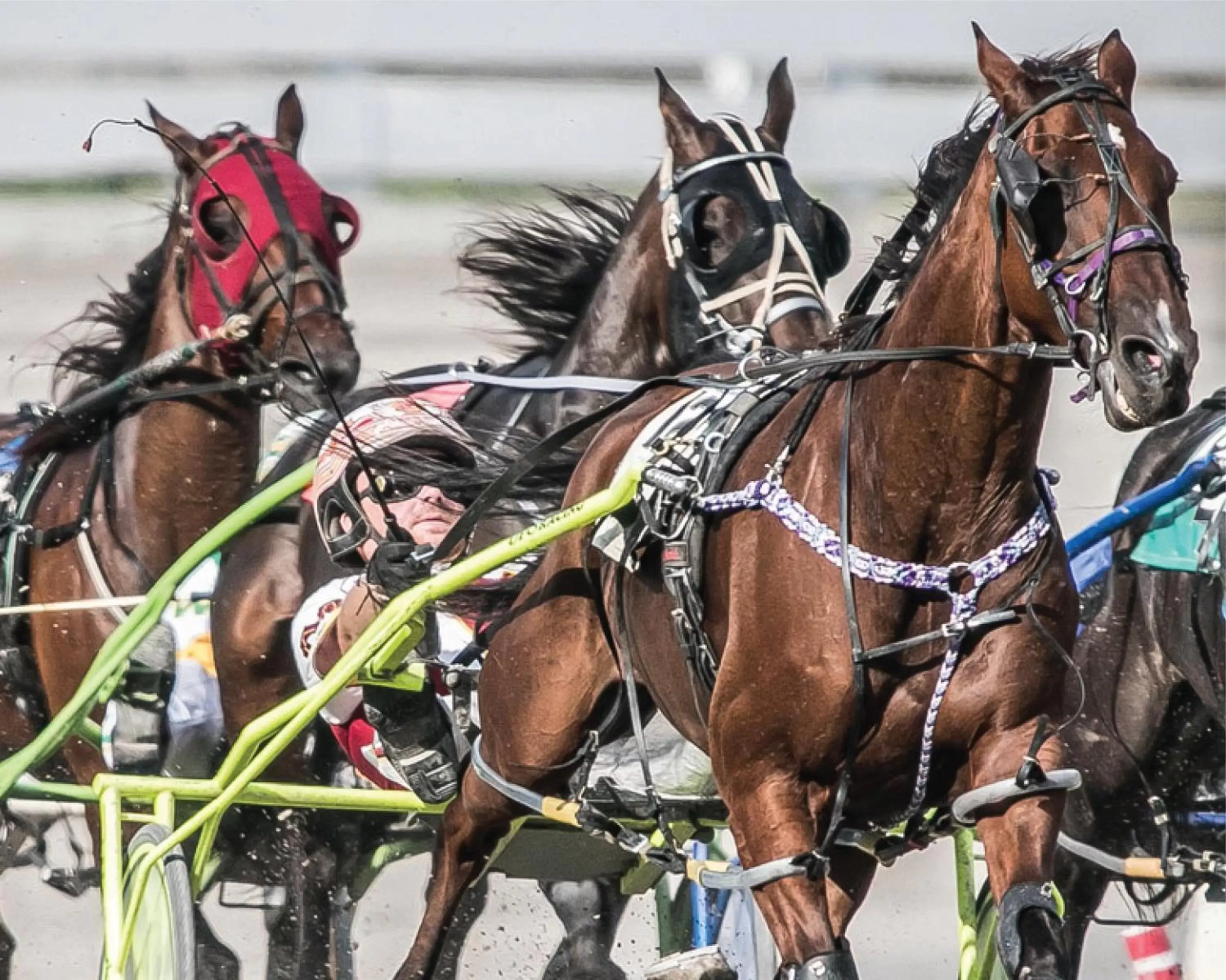 Activities, Horseback Riding in Hyatt Place at The Hollywood Casino Pittsburgh South