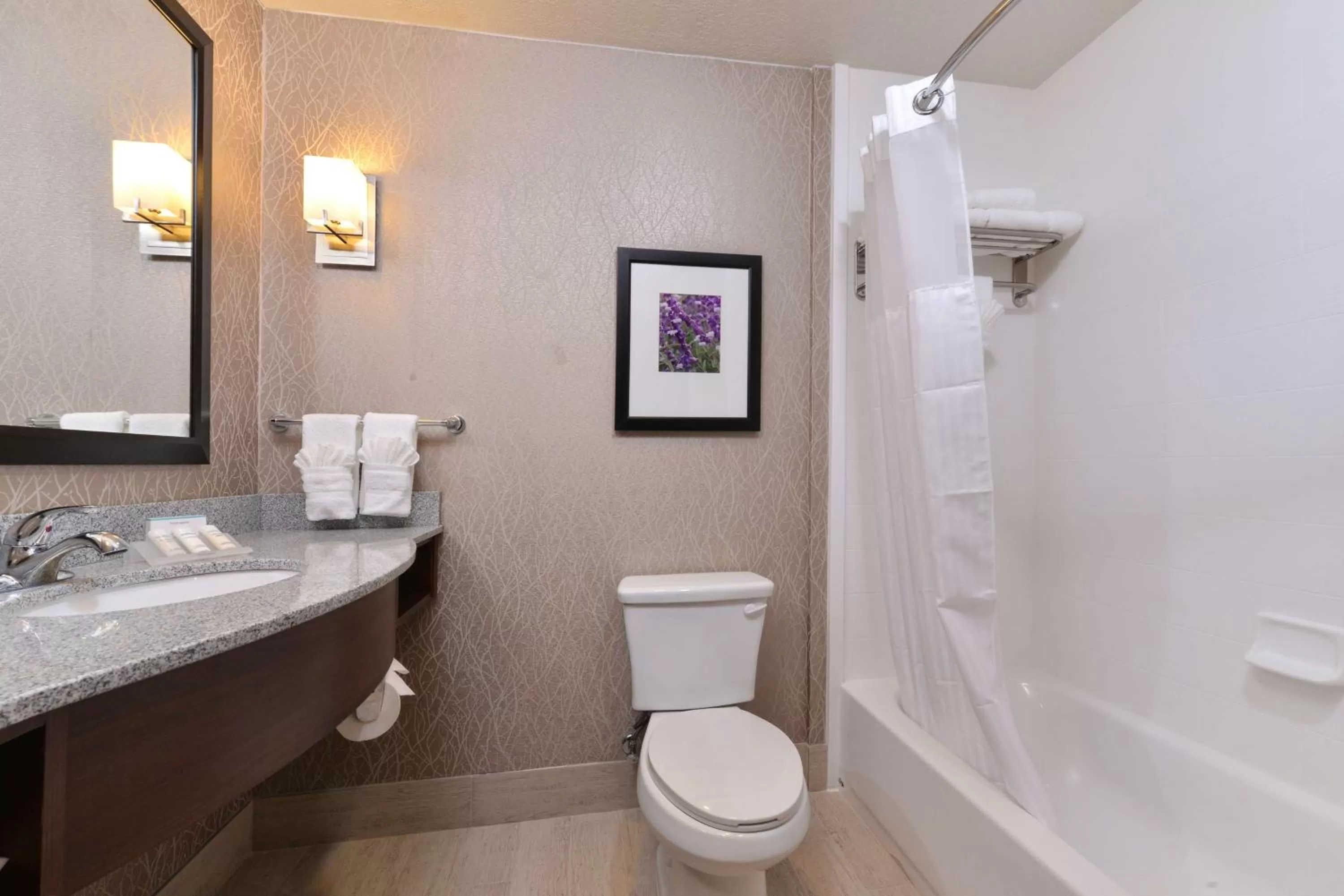 Bathroom in Hilton Garden Inn Hobbs