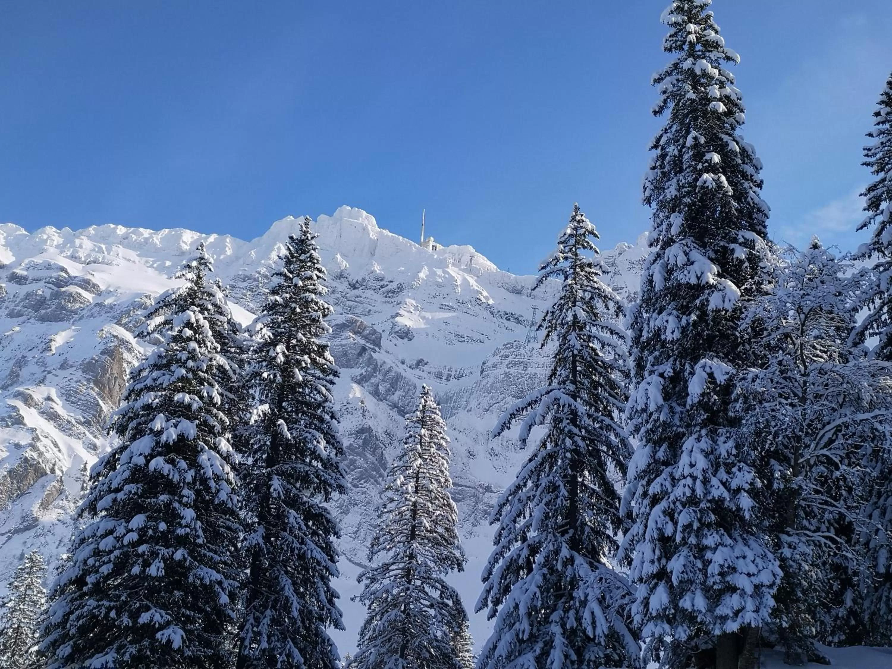 Winter in Gästehaus Aemisegg