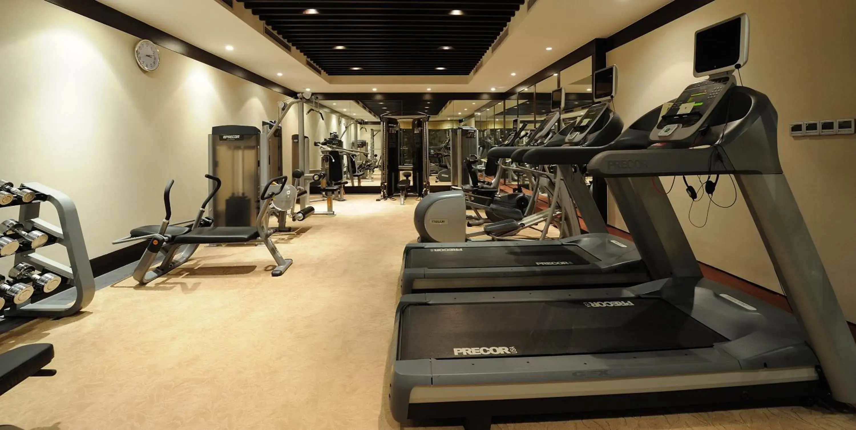 Fitness centre/facilities, Fitness Center/Facilities in Banyan Tree Hangzhou