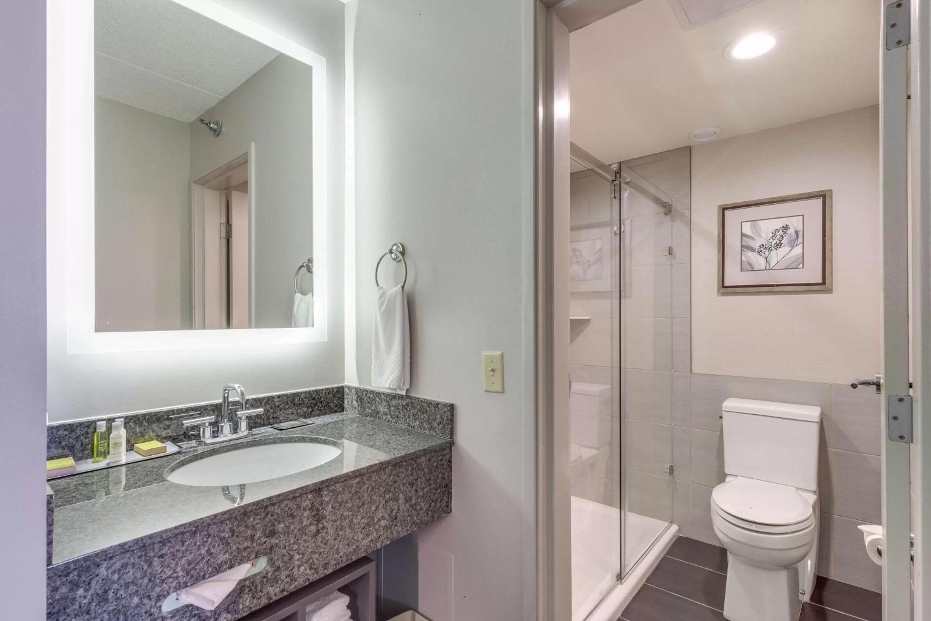 Bathroom in DoubleTree by Hilton Racine Harbourwalk