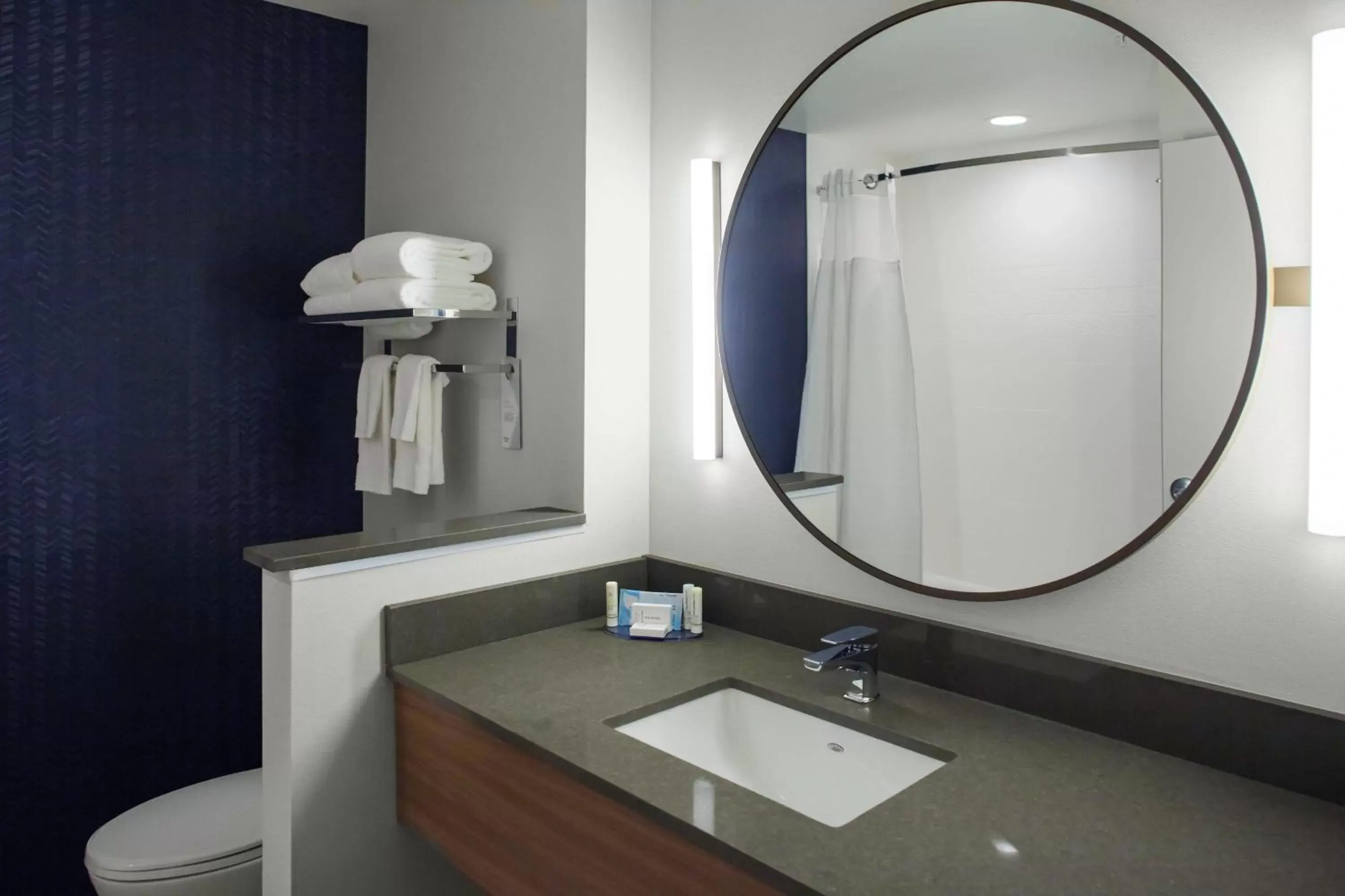 Bathroom in Fairfield Inn & Suites by Marriott Roanoke Salem