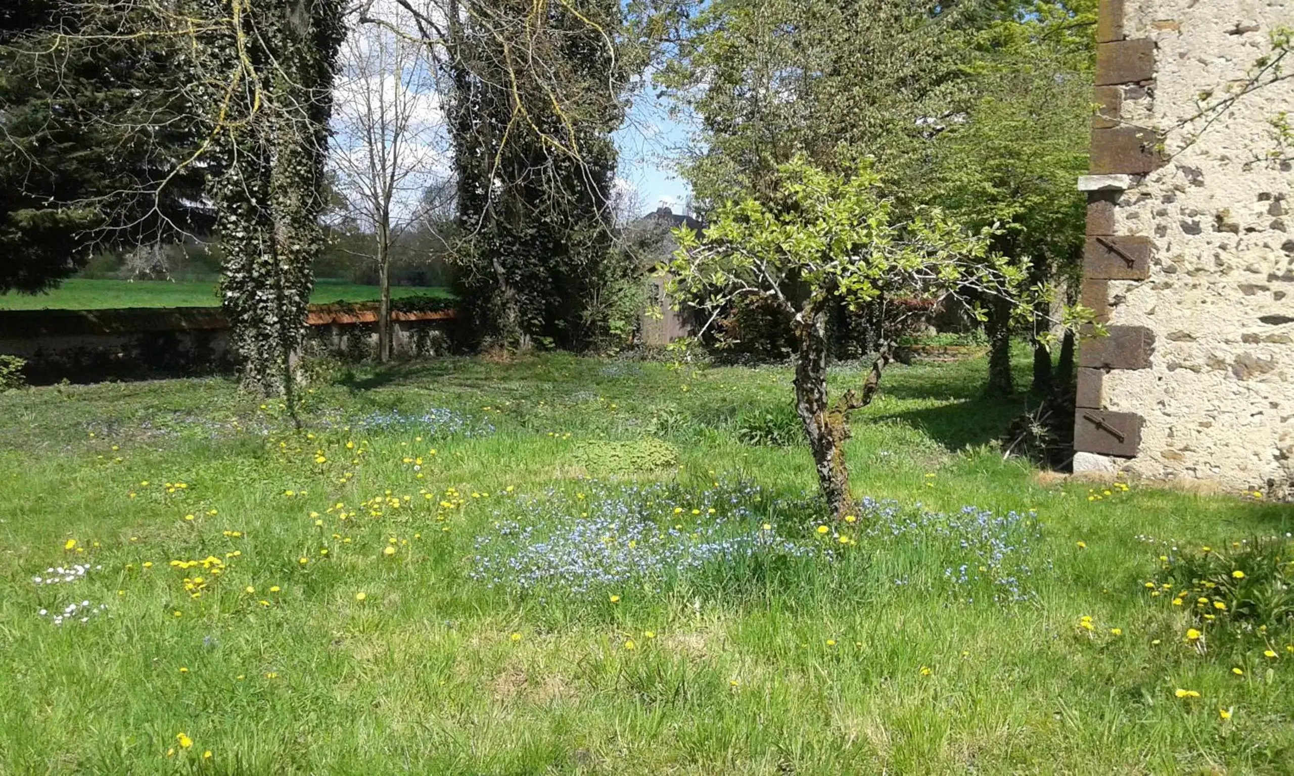 Garden in La Sauldre