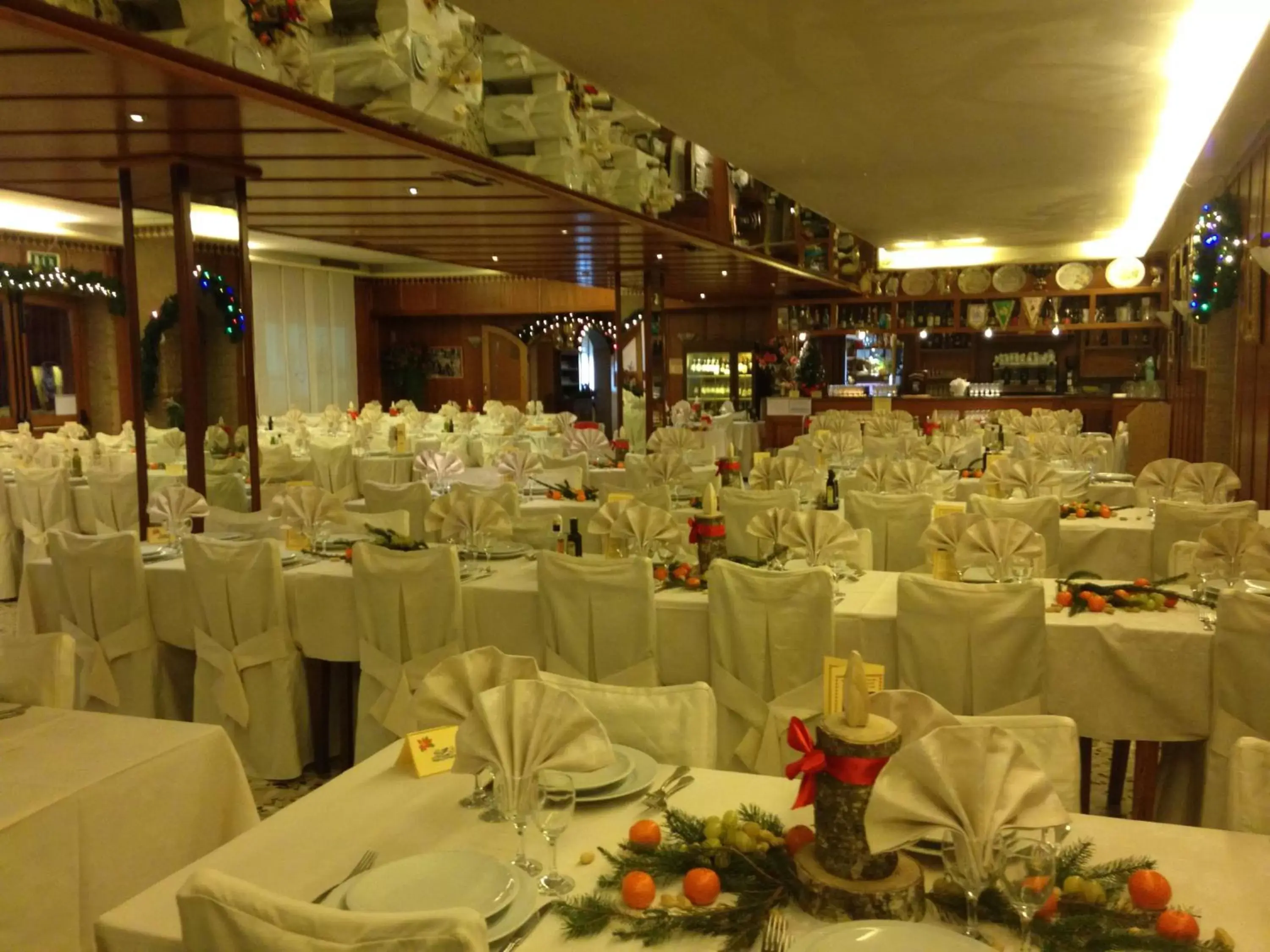 Dining area, Banquet Facilities in Hotel Pizzeria Ristorante "Al Leone"