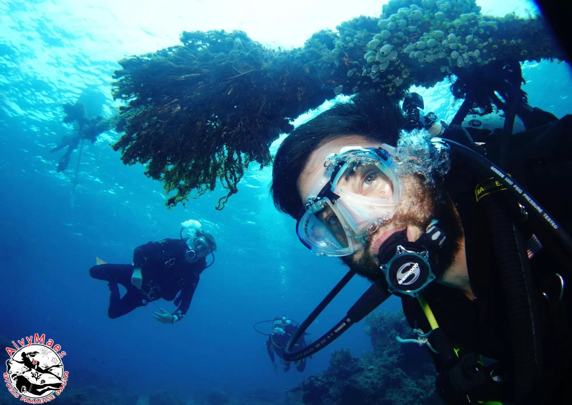 Snorkeling in AivyMaes Divers Resort