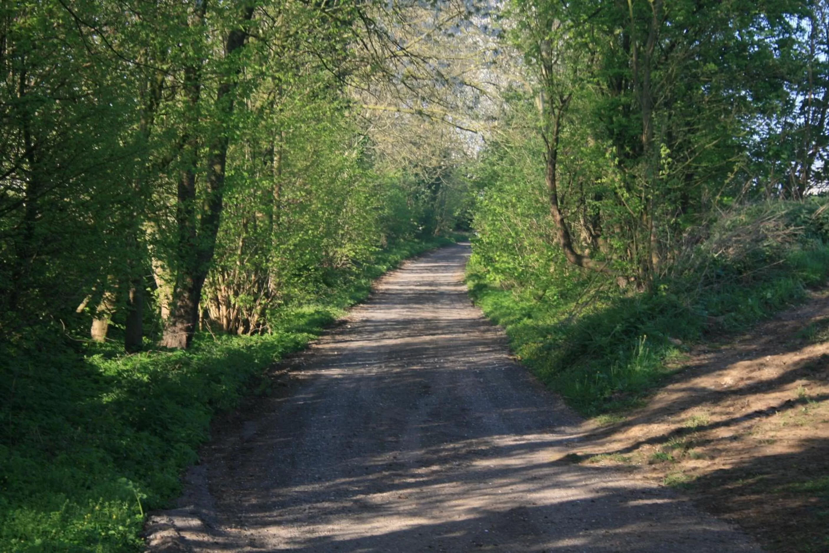 Nearby landmark in twee broeders