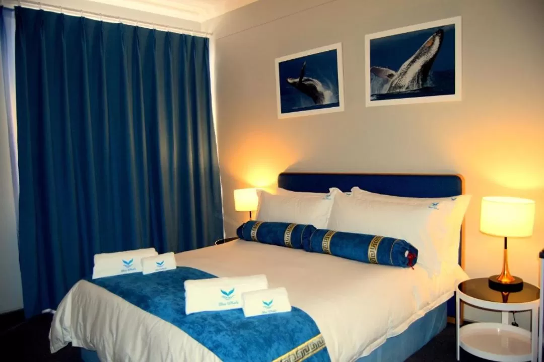 Double Room - single occupancy in Blue Whale Hotels