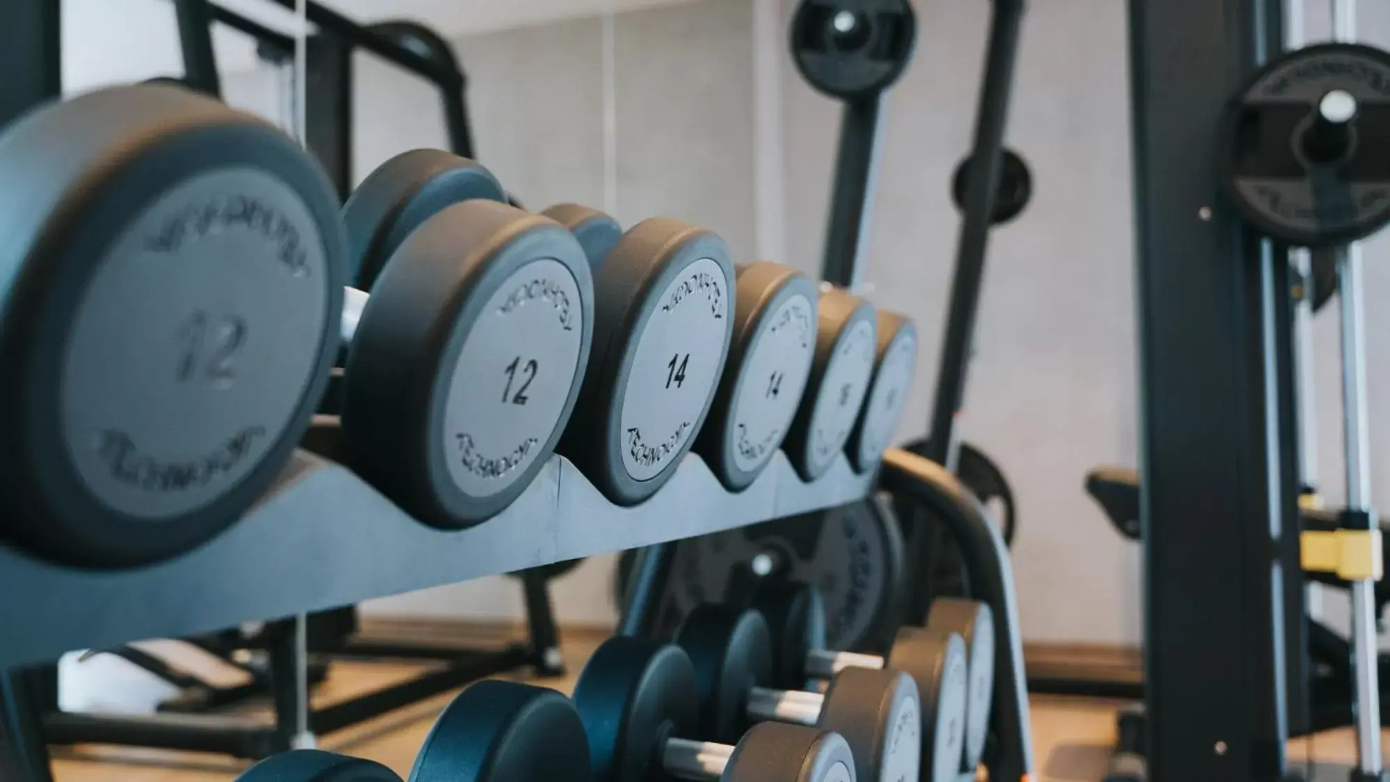 Fitness centre/facilities, Fitness Center/Facilities in Hotel Tauernhof