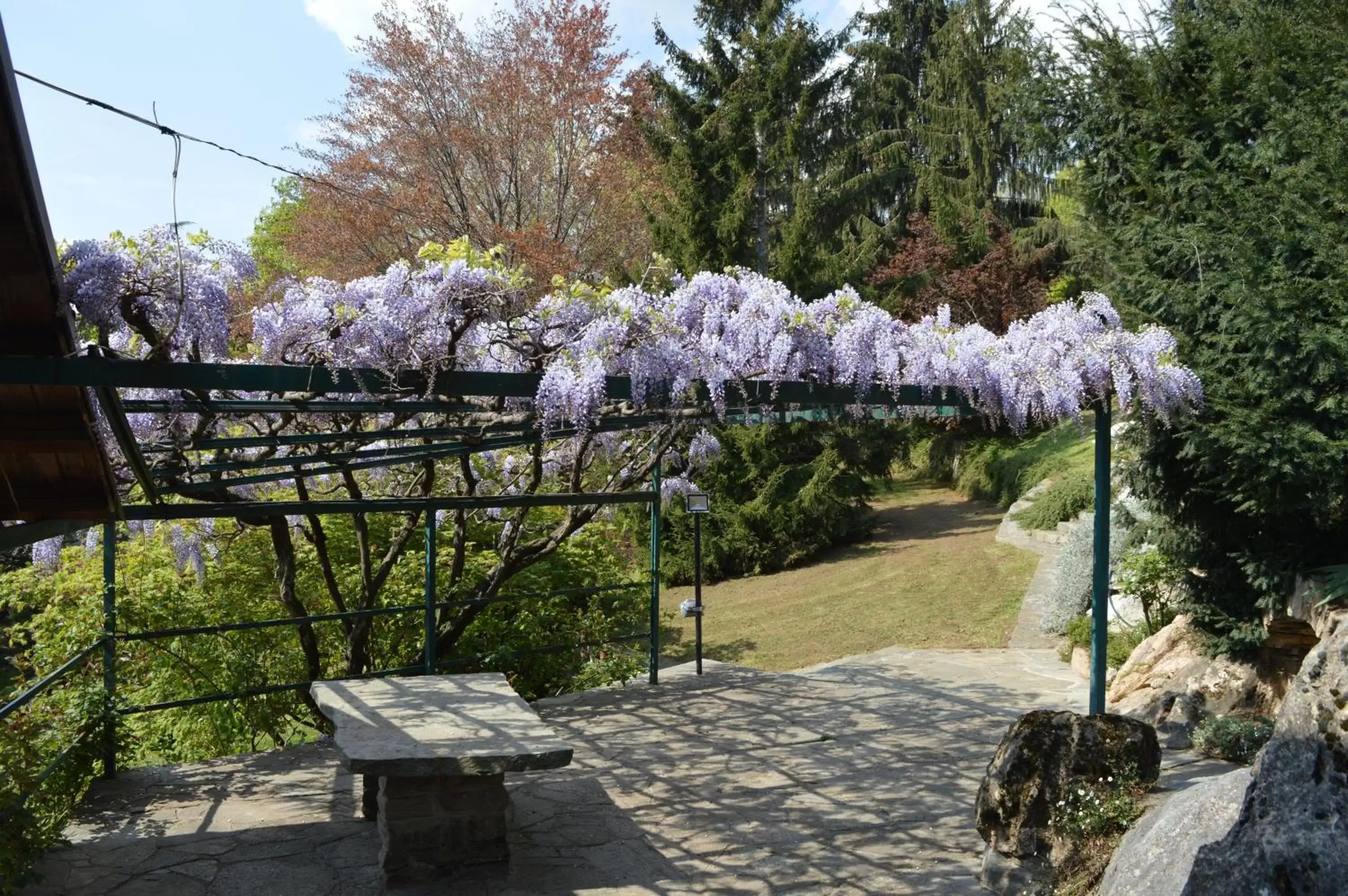 Patio in L'uovo e la faina