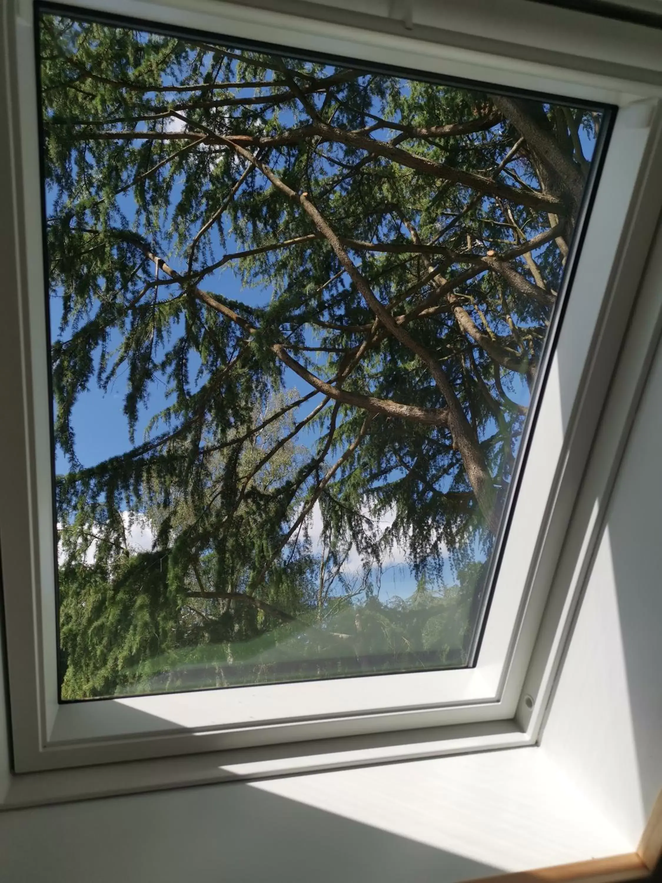 Garden view in Le moulin de La Retardière