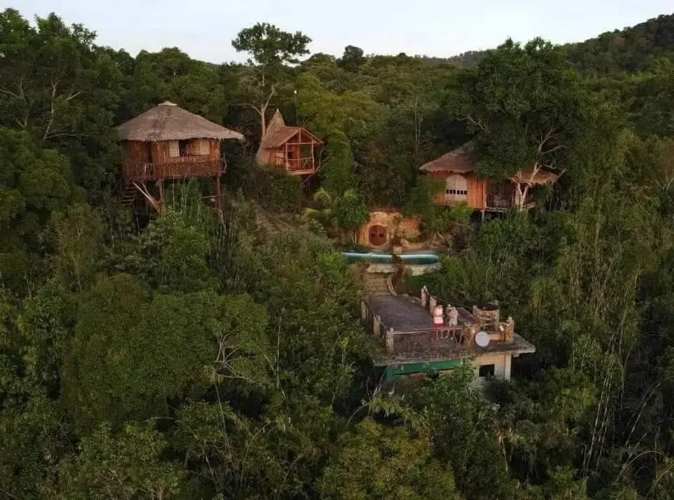 Bird's-eye View in Sanctuaria Treehouses Busuanga