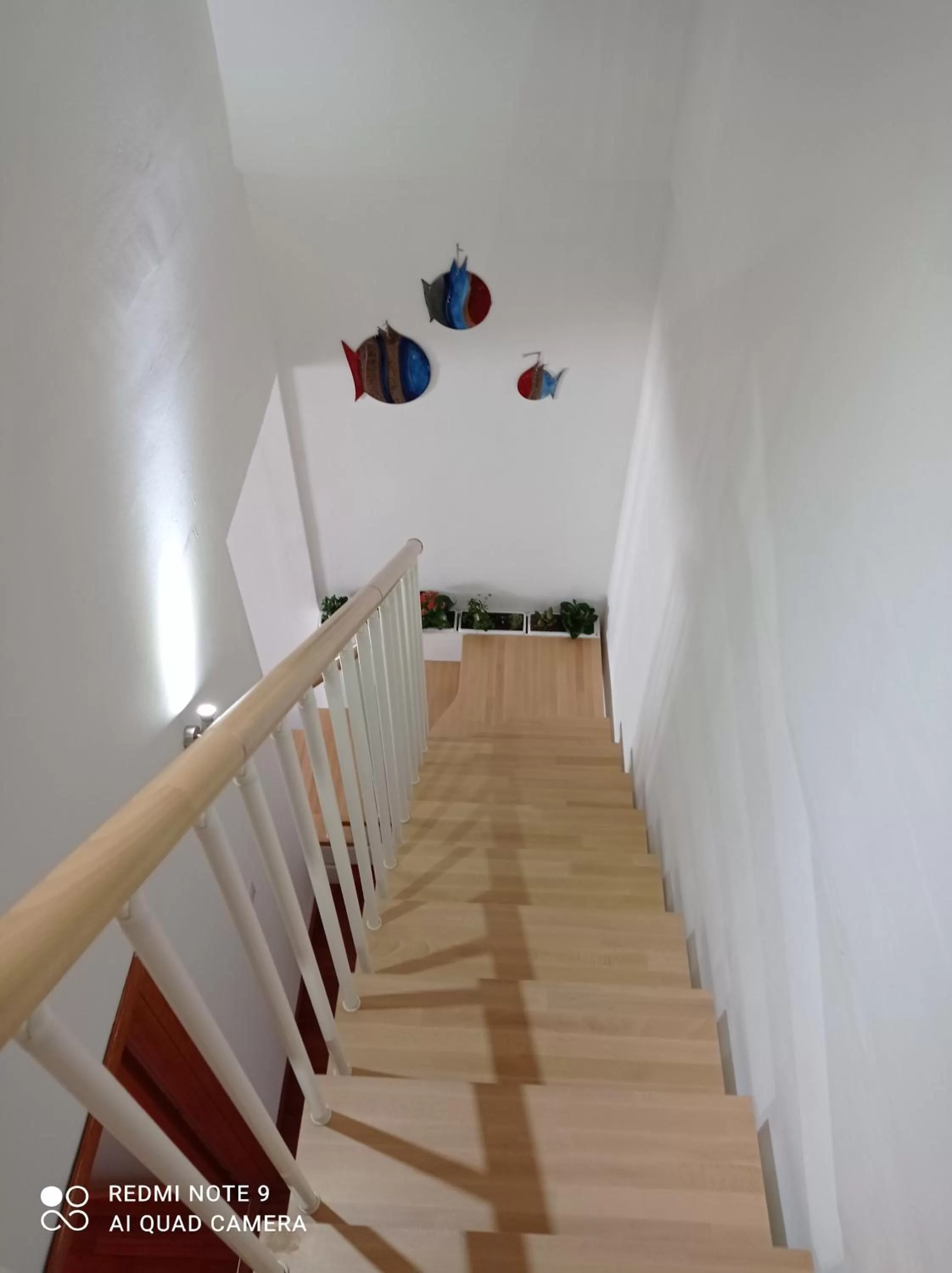 Other in Cuscino e Cappuccino B&B