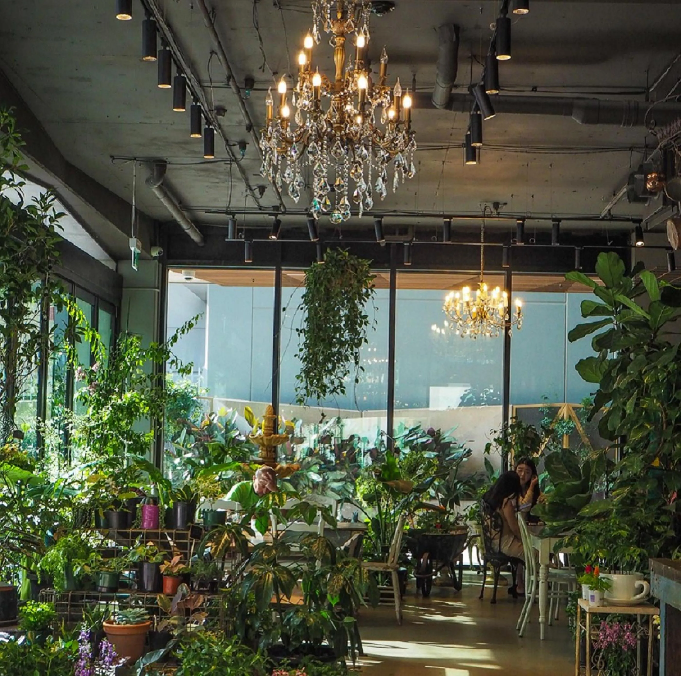 Restaurant/places to eat in Quest North Sydney